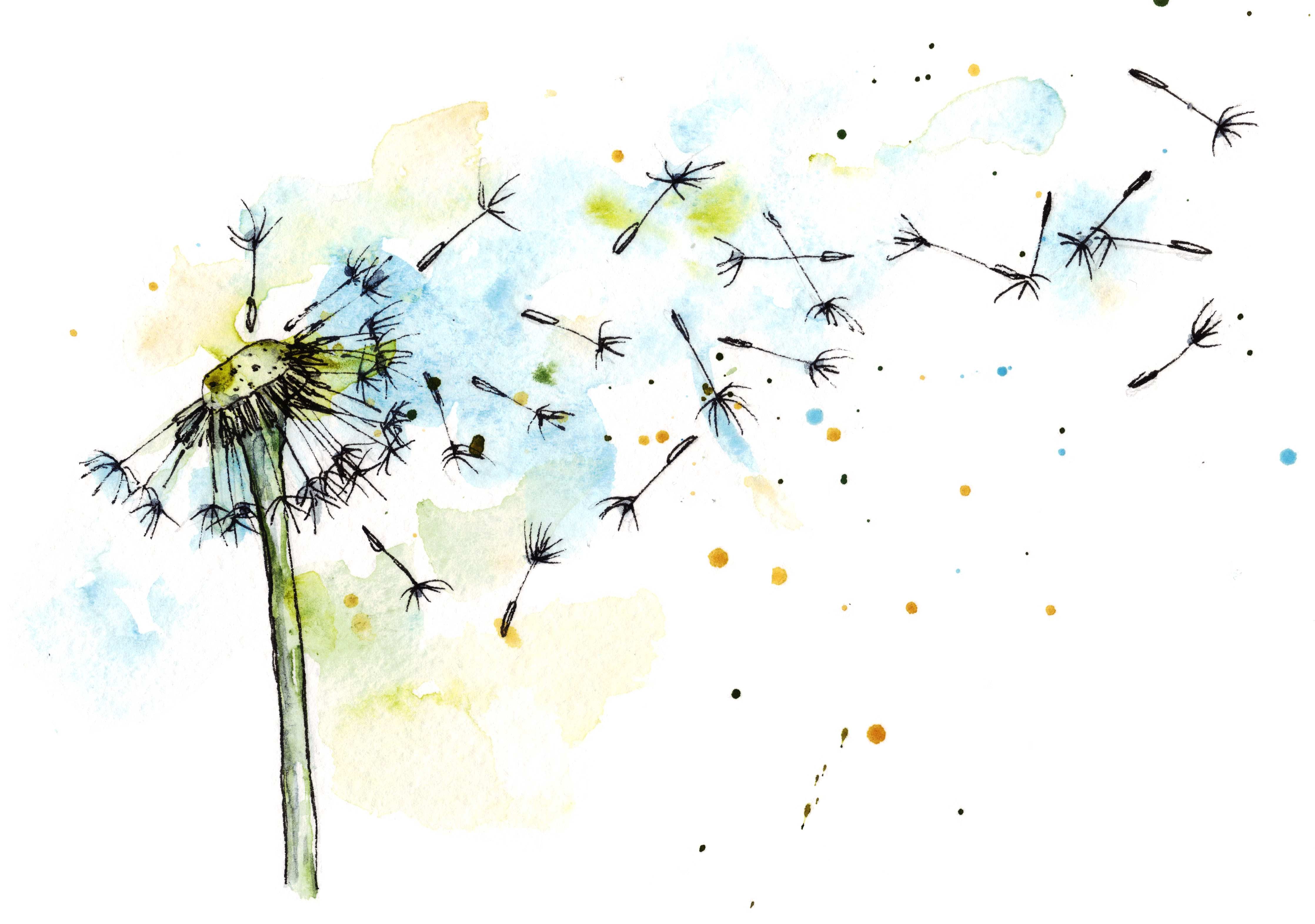 Babyzimmer Wandgestaltung-Löwenzahn Aquarell