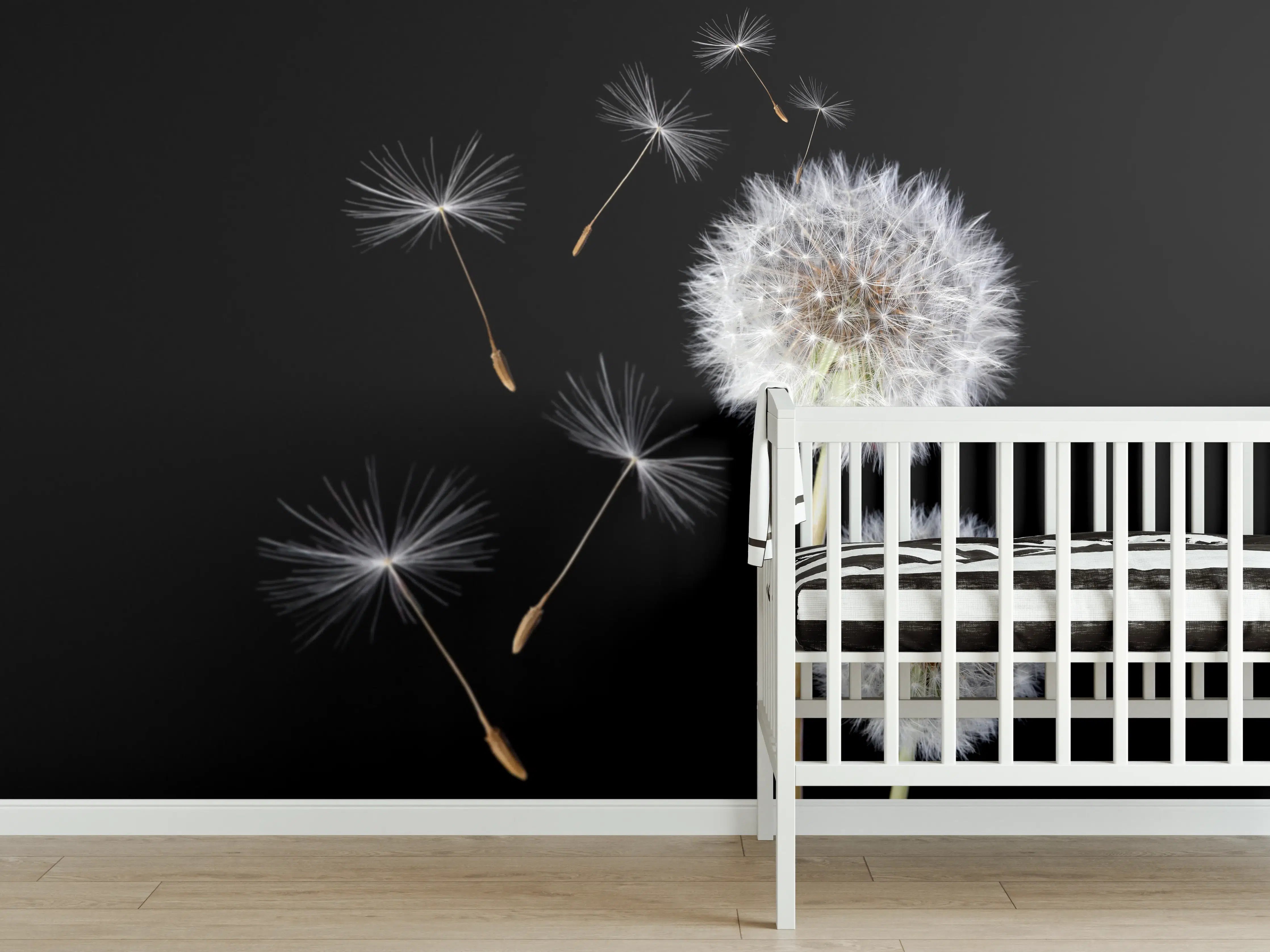 Babyzimmer Wandgestaltung - Löwenzahn auf schwarzem Hintergrund