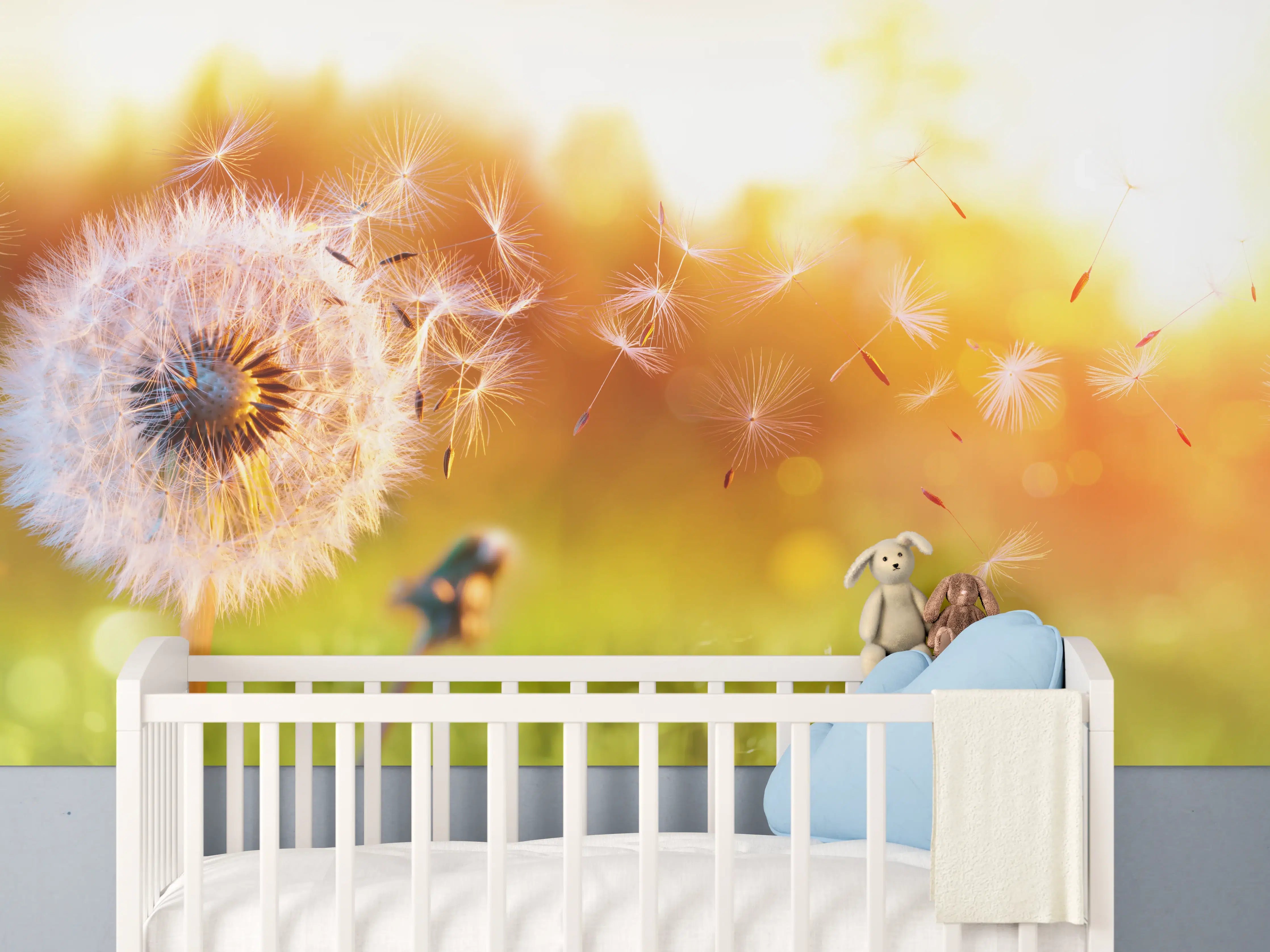 Babyzimmer Wandgestaltung - Löwenzahn im Feld bei Sonnenuntergang