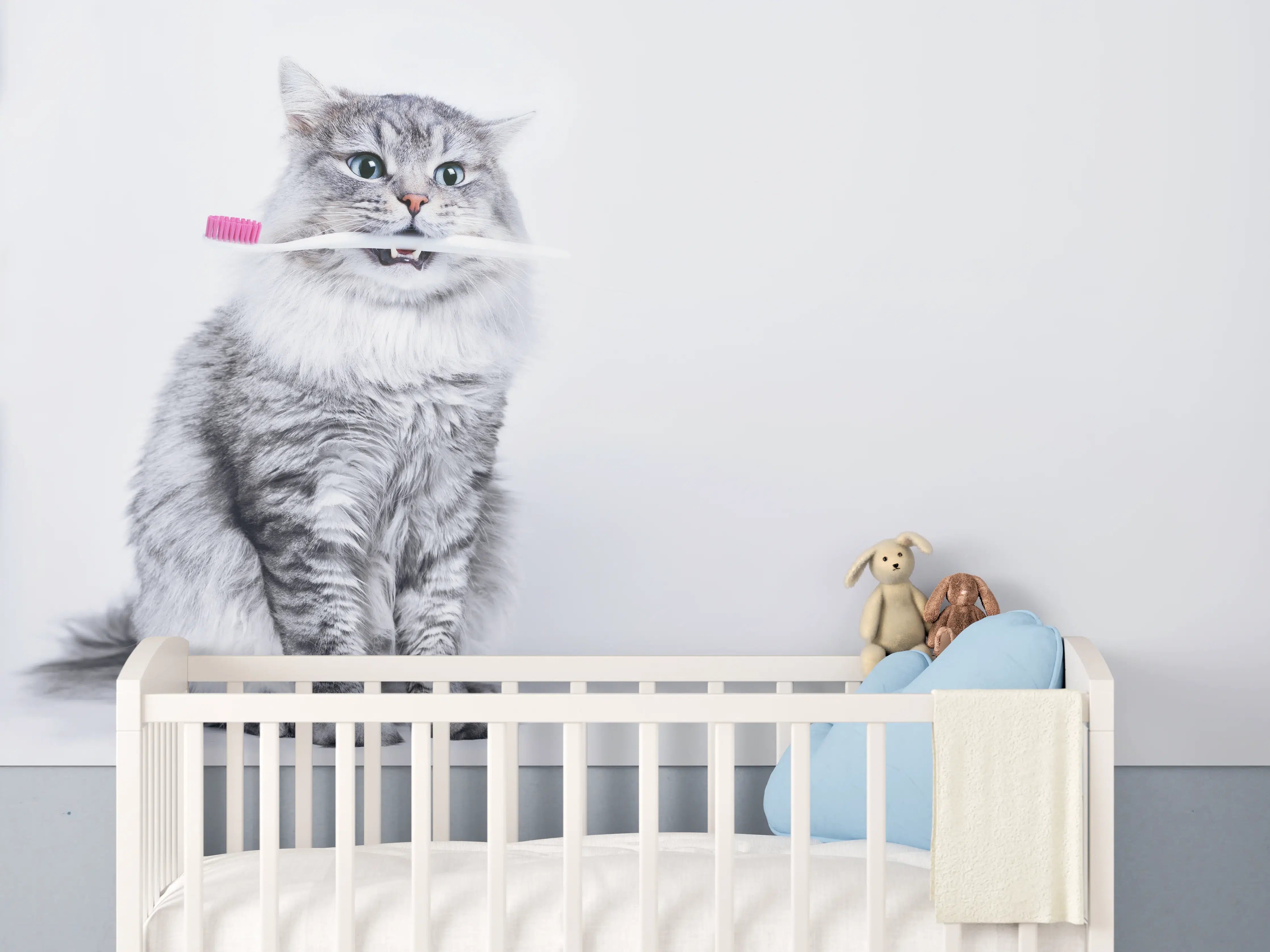Babyzimmer Wandgestaltung - Lustige Katze mit Zahnbürste
