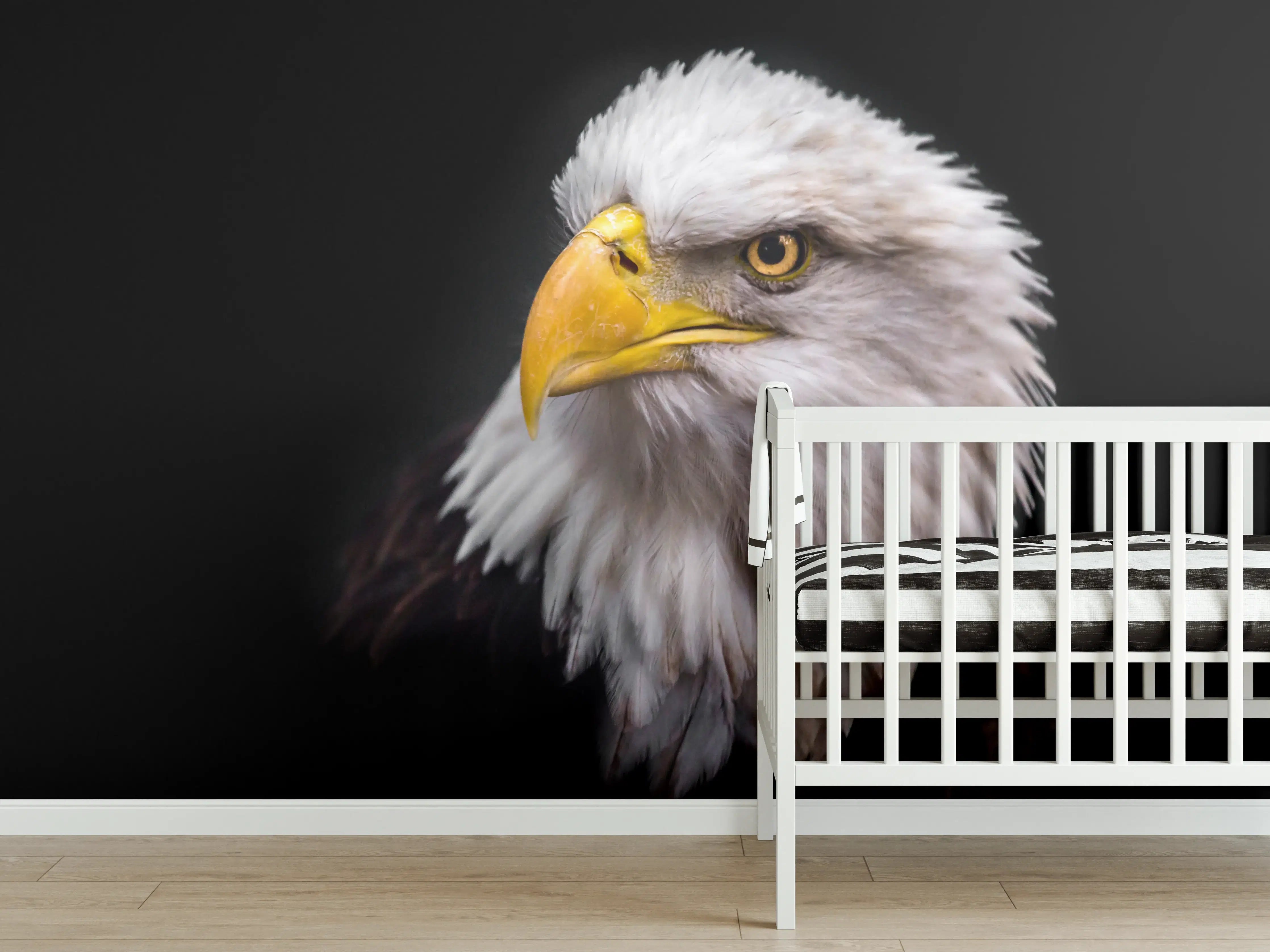 Babyzimmer Wandgestaltung - Majestätischer Adler