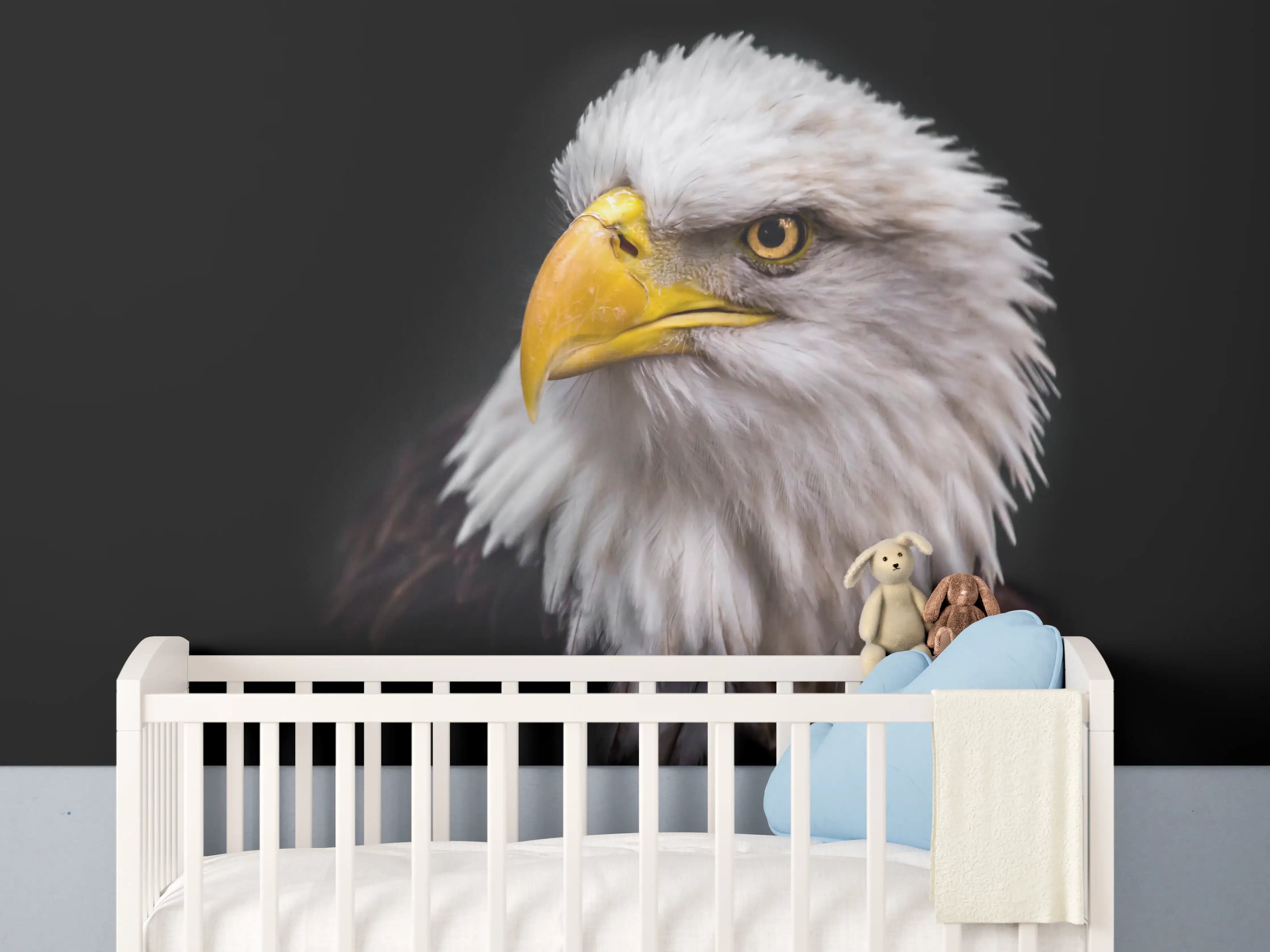 Babyzimmer Wandgestaltung - Majestätischer Adler