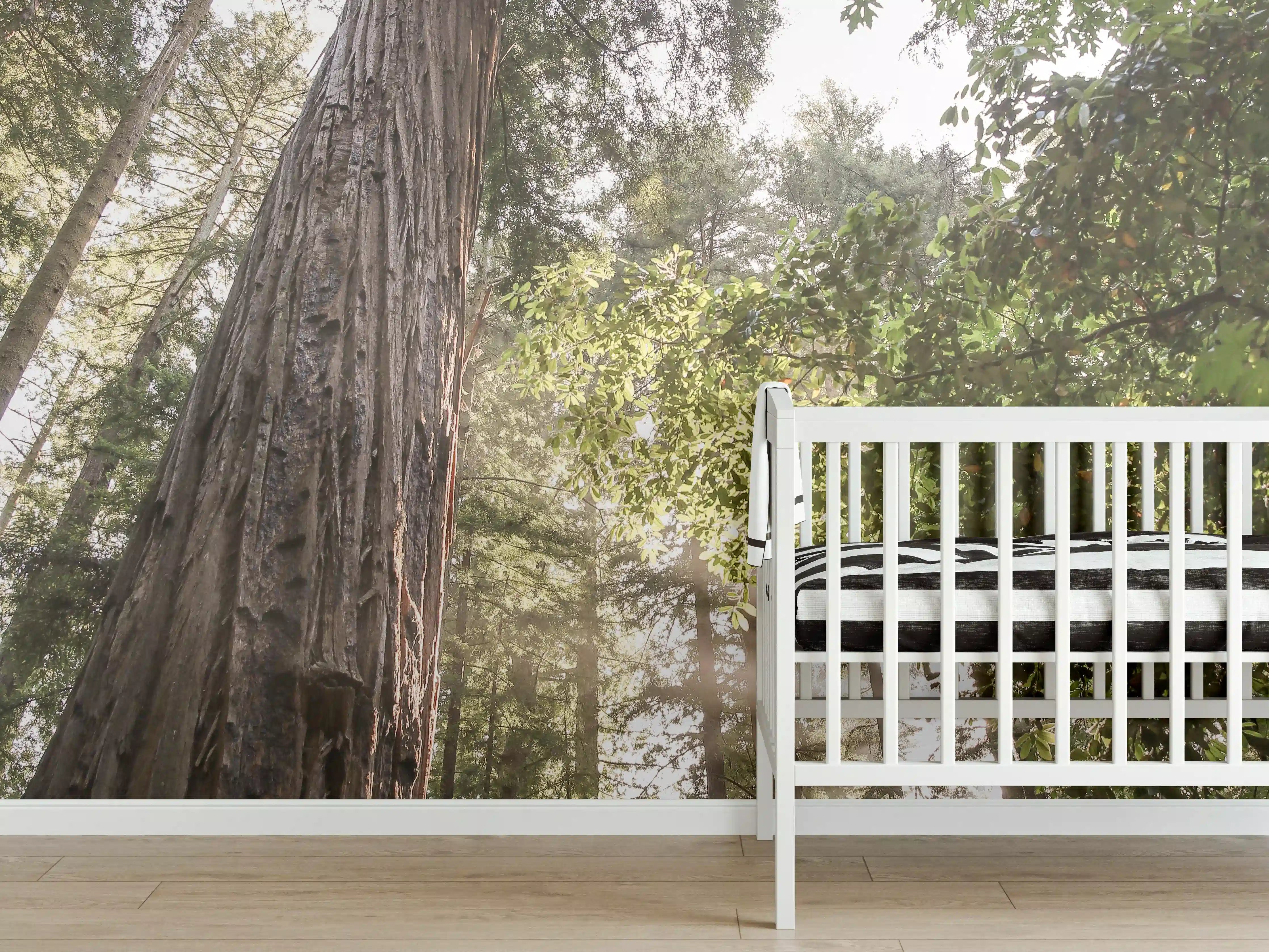Babyzimmer Wandgestaltung - Majestätischer Baum im Sonnenlicht