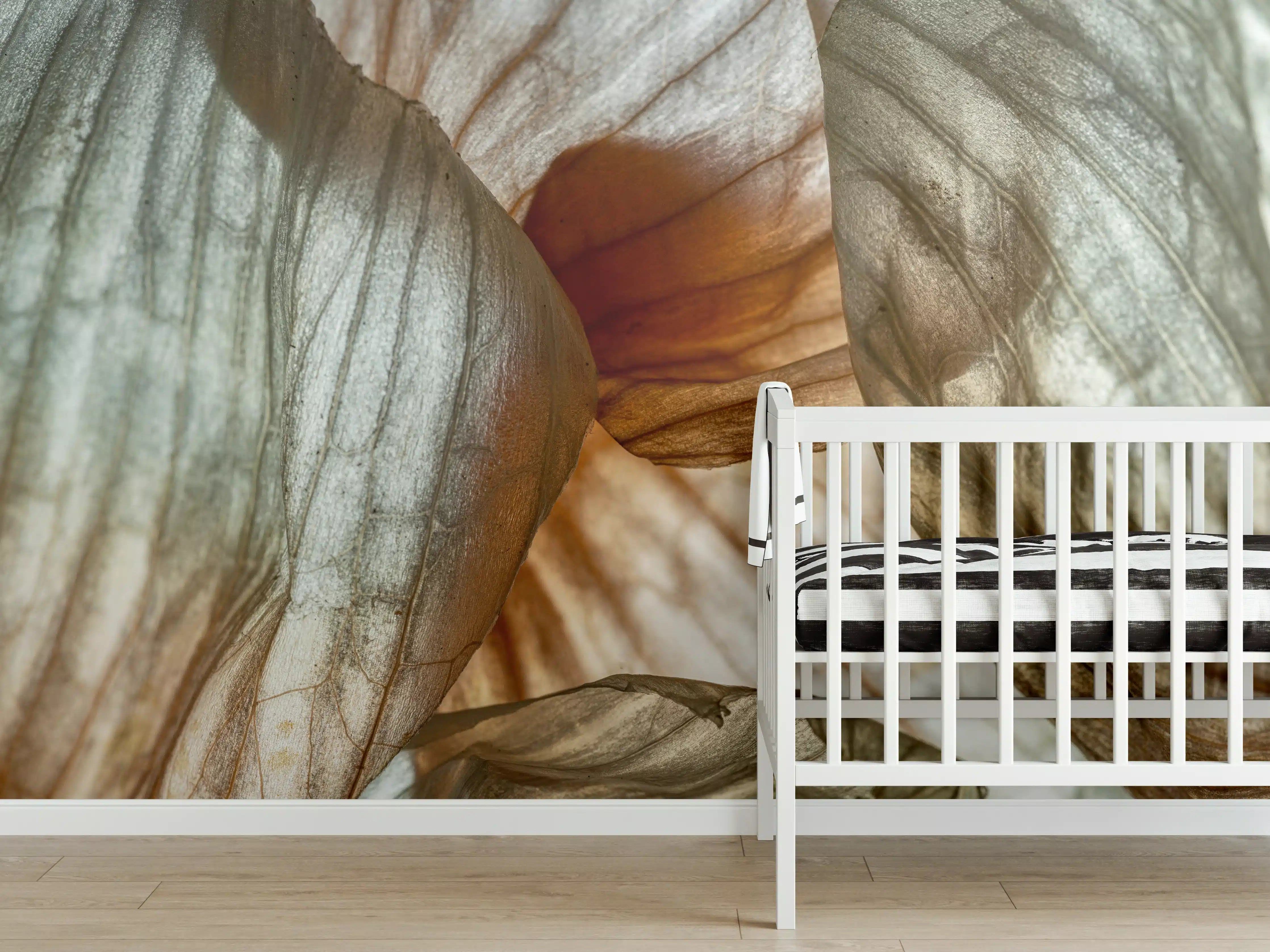 Babyzimmer Wandgestaltung - Makrofotografie der Schalenblatttextur einer Zwiebel