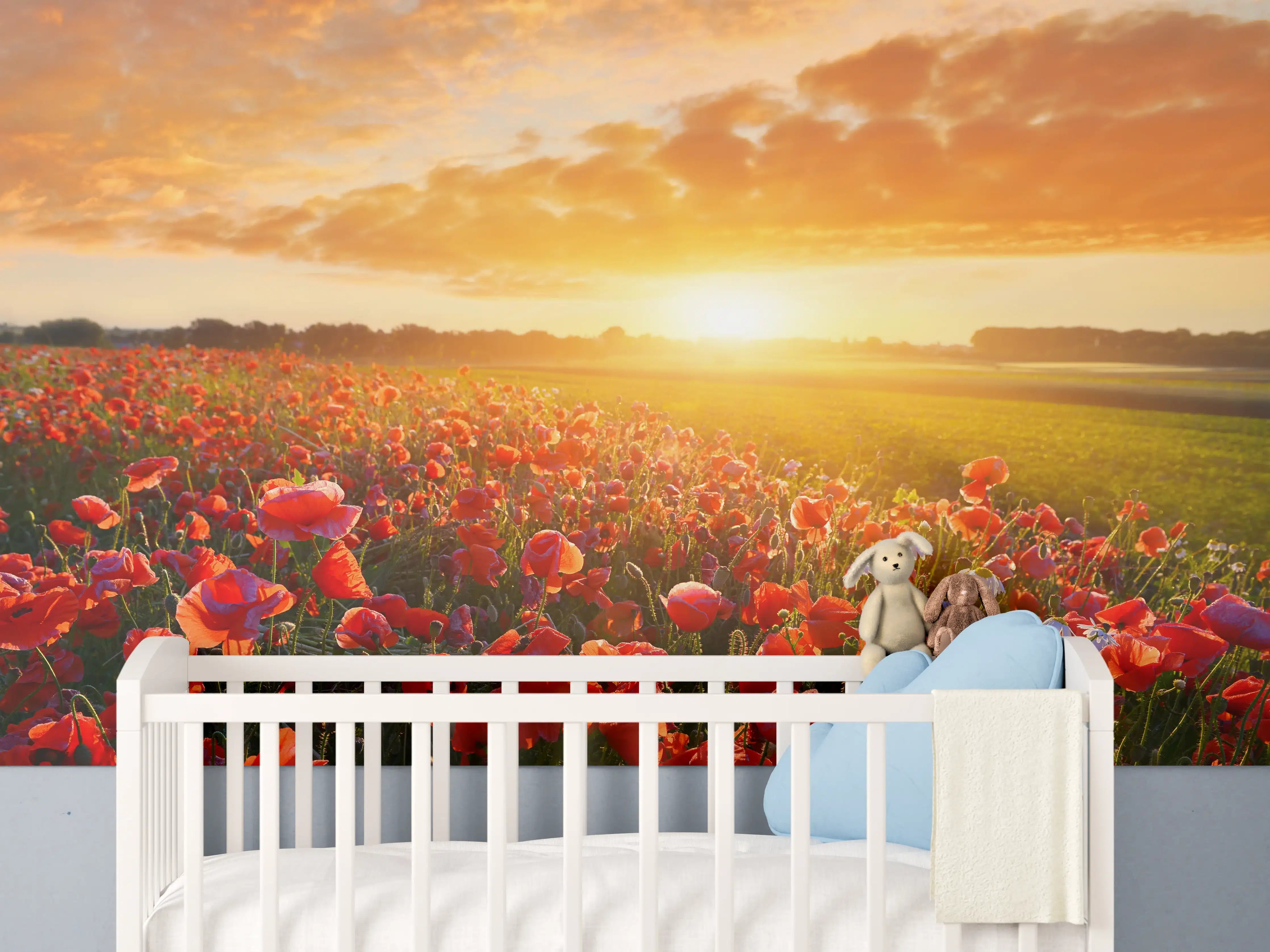 Babyzimmer Wandgestaltung - Mohnblüten bei Sonnenaufgang in Kassel