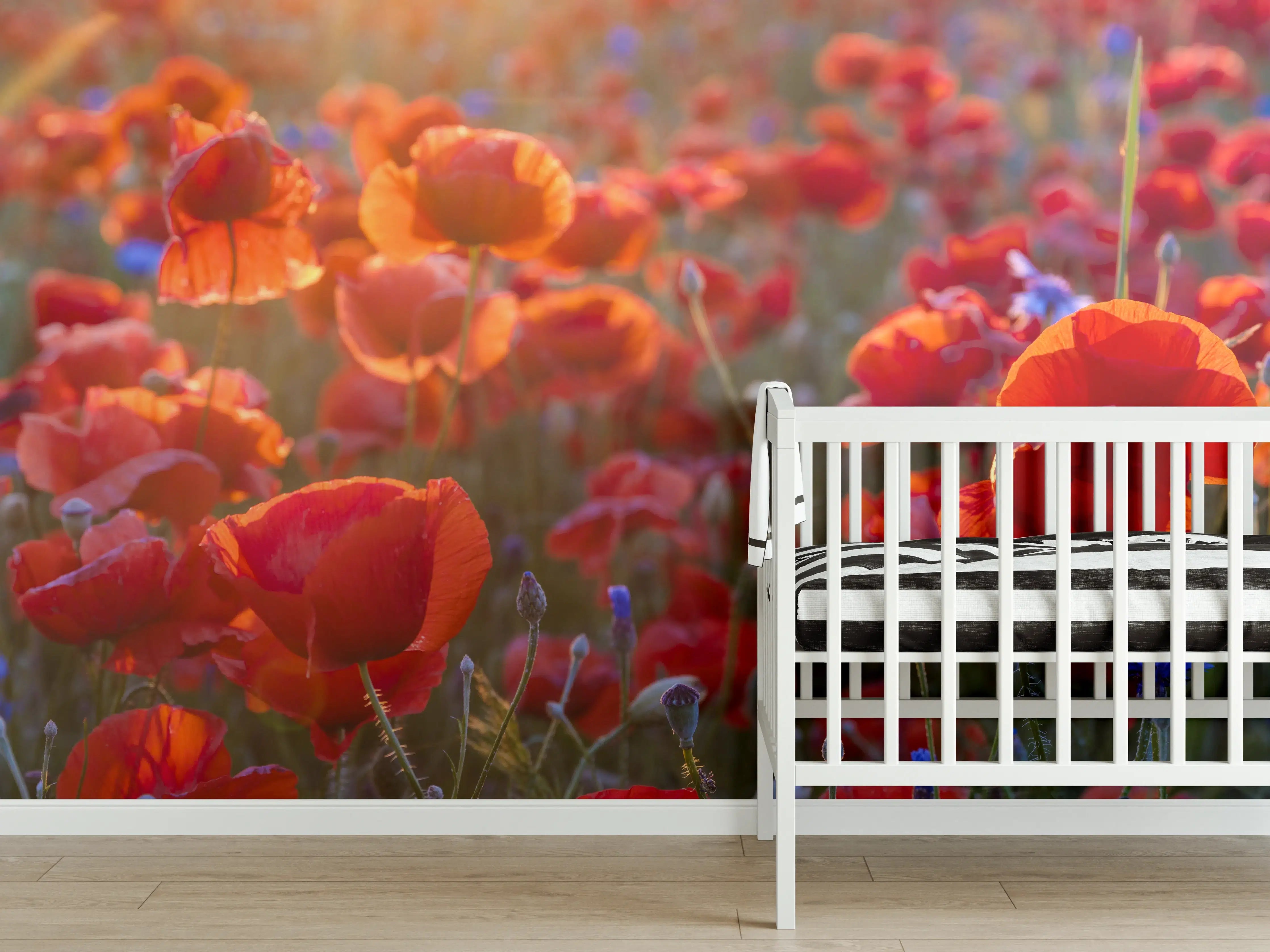 Babyzimmer Wandgestaltung - Mohnwiese im Licht der untergehenden Sonne