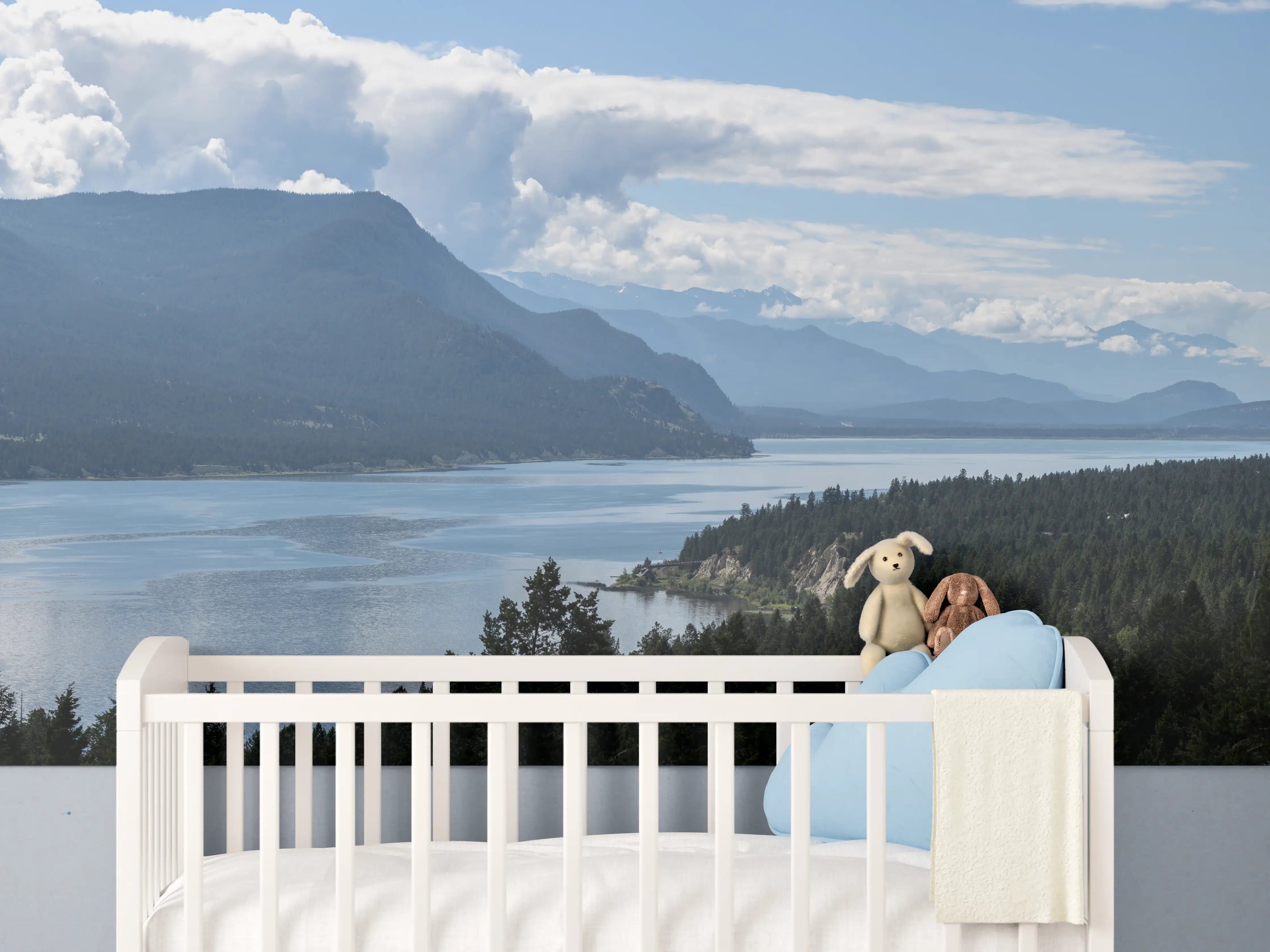 Babyzimmer Wandgestaltung - Morgennebel über den Gipfeln des Fairmont Ridge