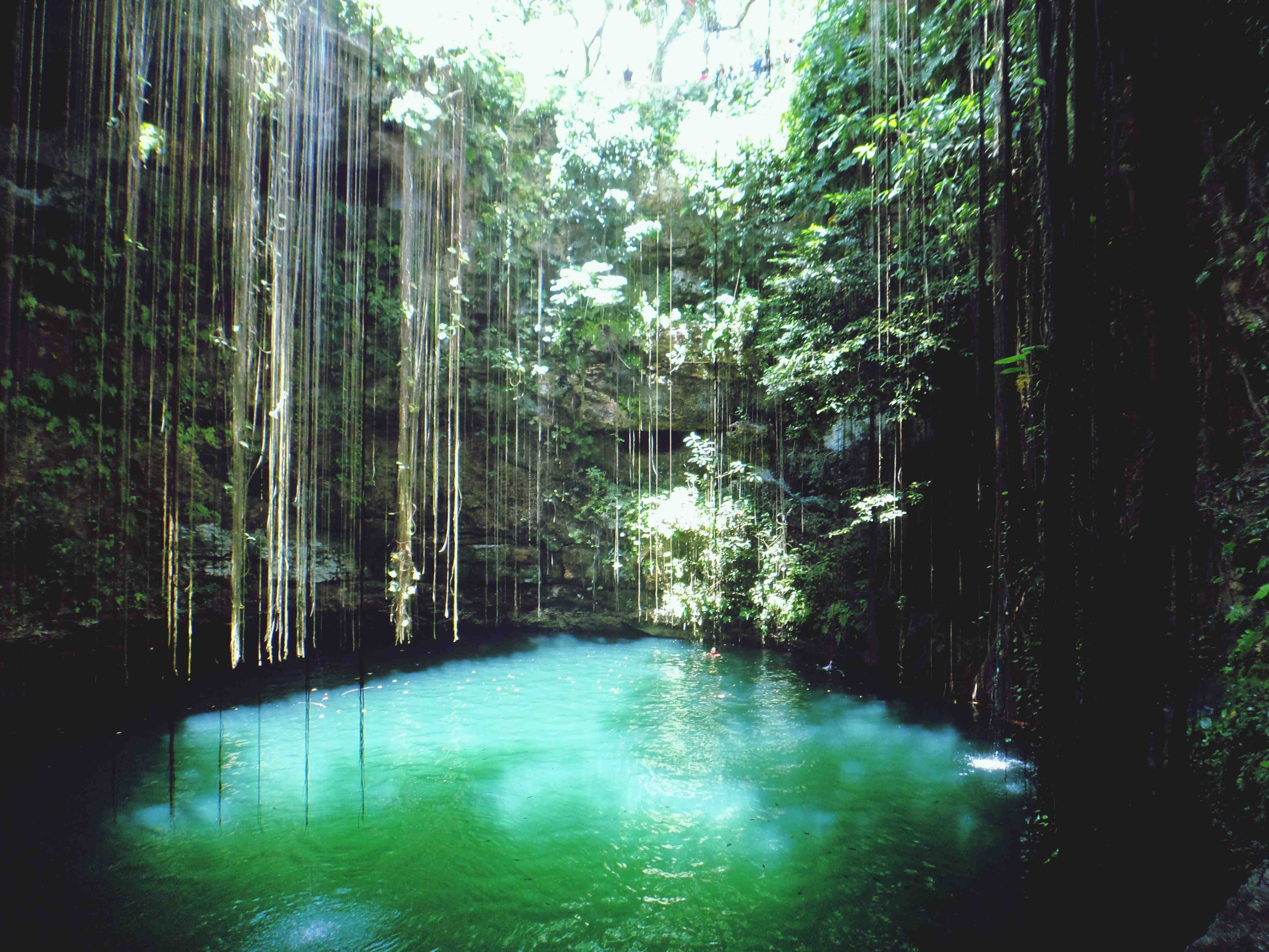 Babyzimmer Wandgestaltung-Mystischer Wasserfall in tropischer Natur
