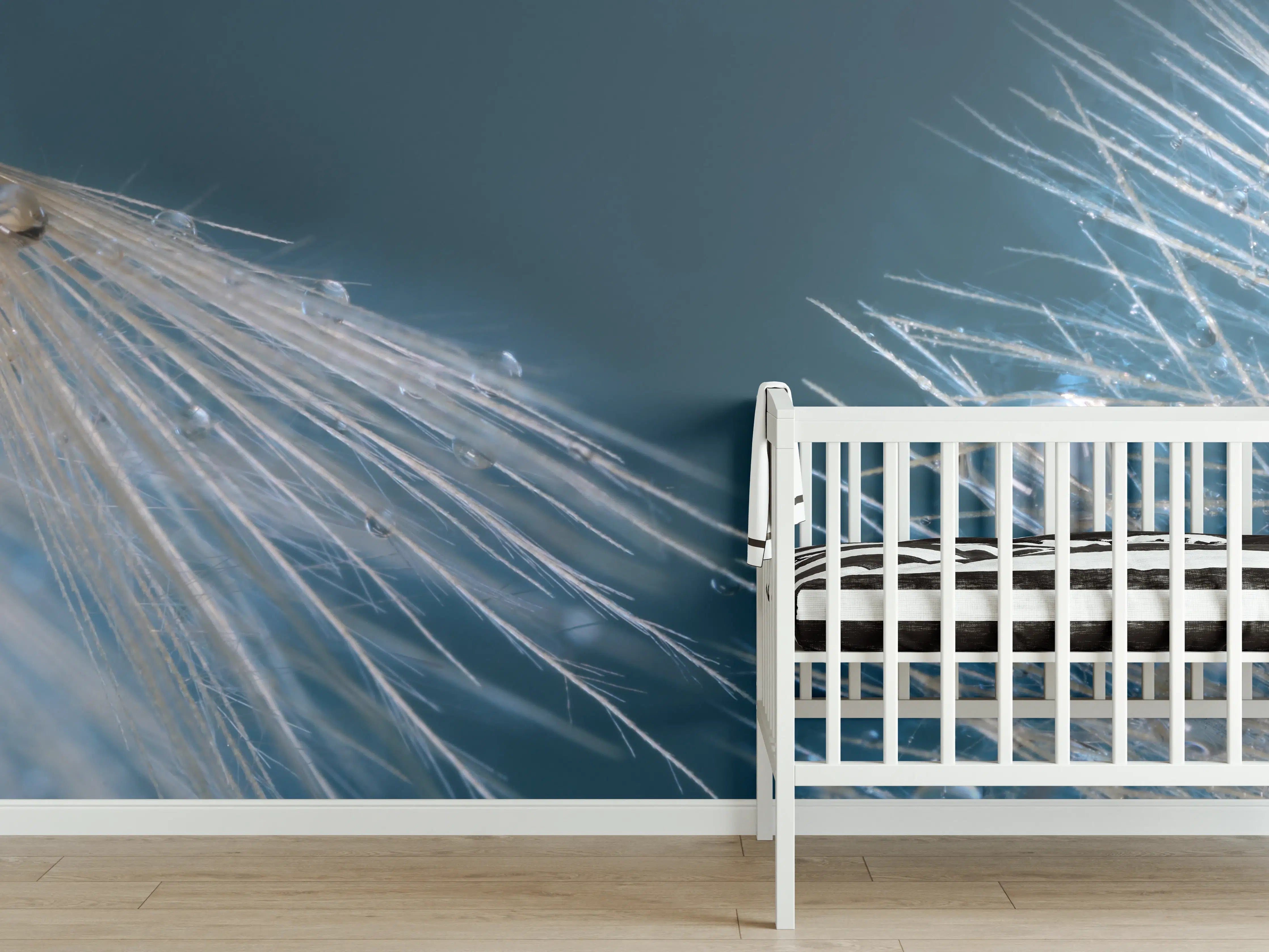 Babyzimmer Wandgestaltung - Nahaufnahme von Pusteblumen mit Tautropfen