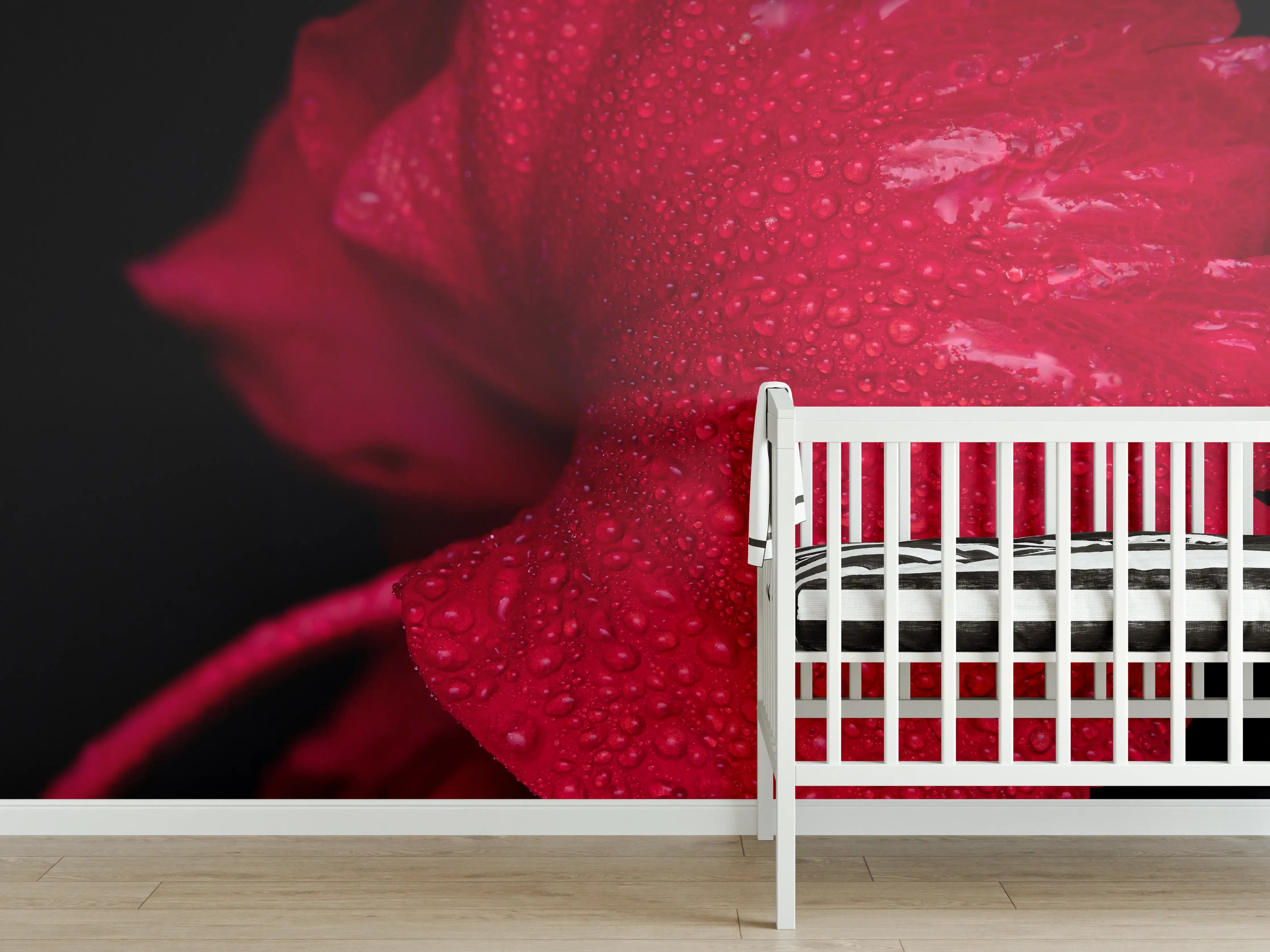Babyzimmer Wandgestaltung - Nahaufnahme von rötlicher Frühlingsblume mit Regentropfen
