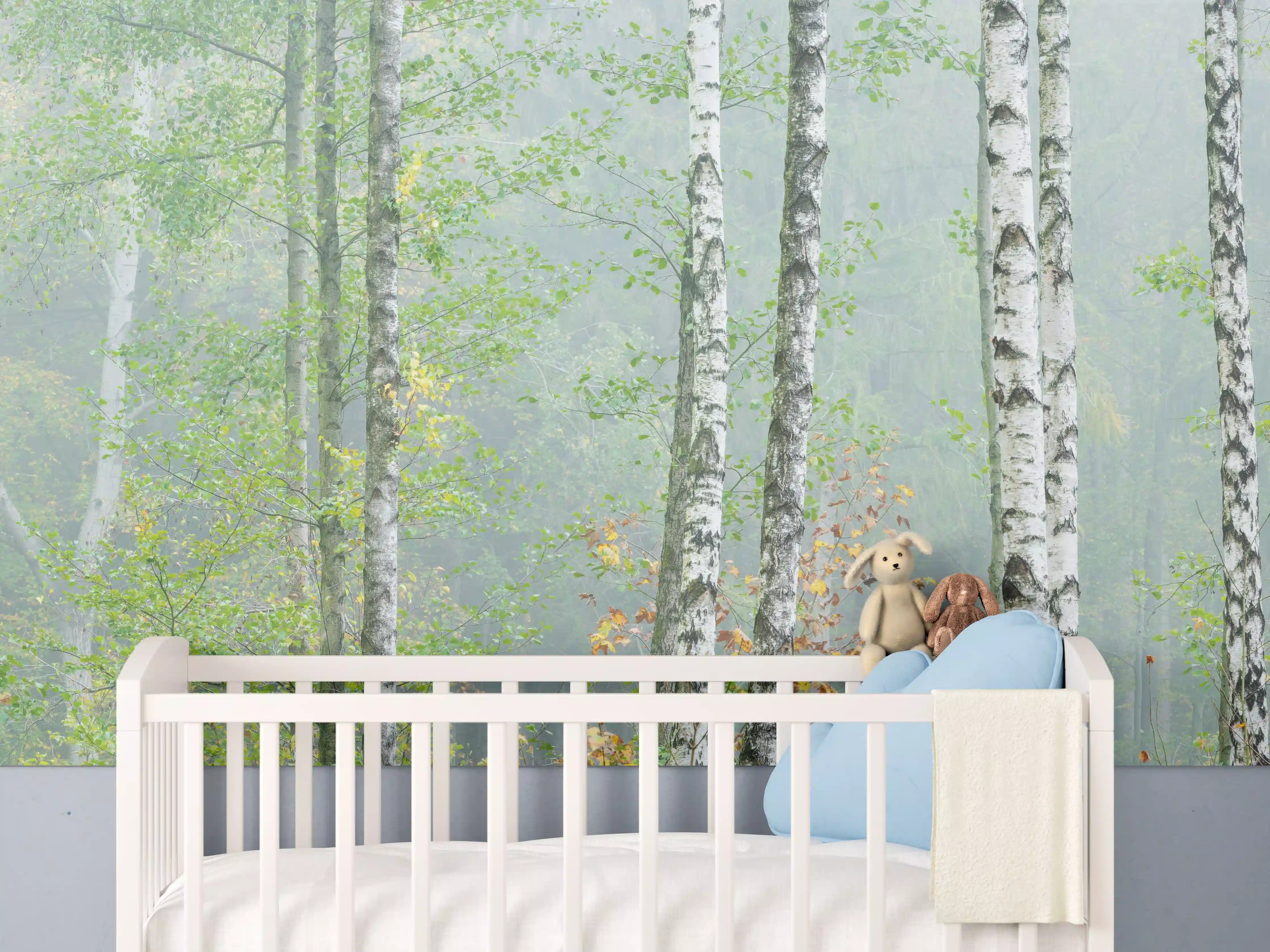 Babyzimmer Wandgestaltung - Nebeliger Birkenwald