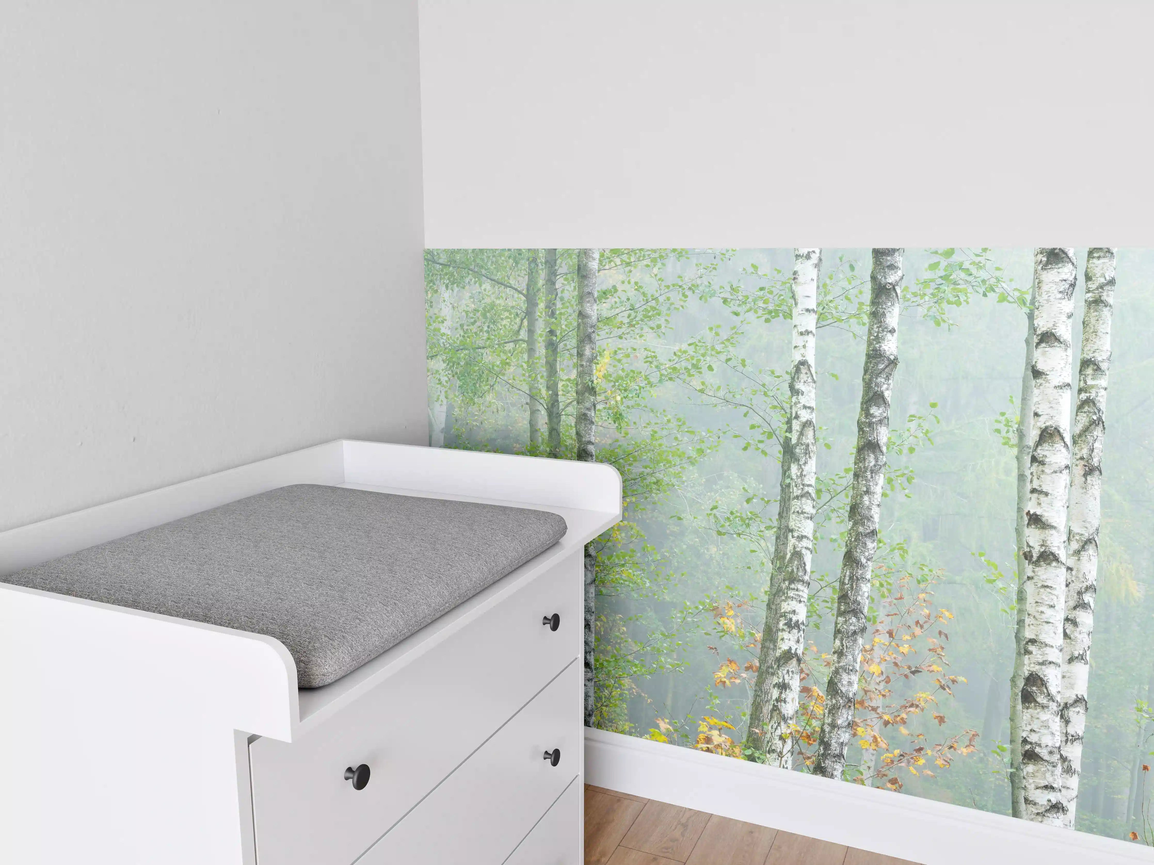 Babyzimmer Wandgestaltung - Nebeliger Birkenwald