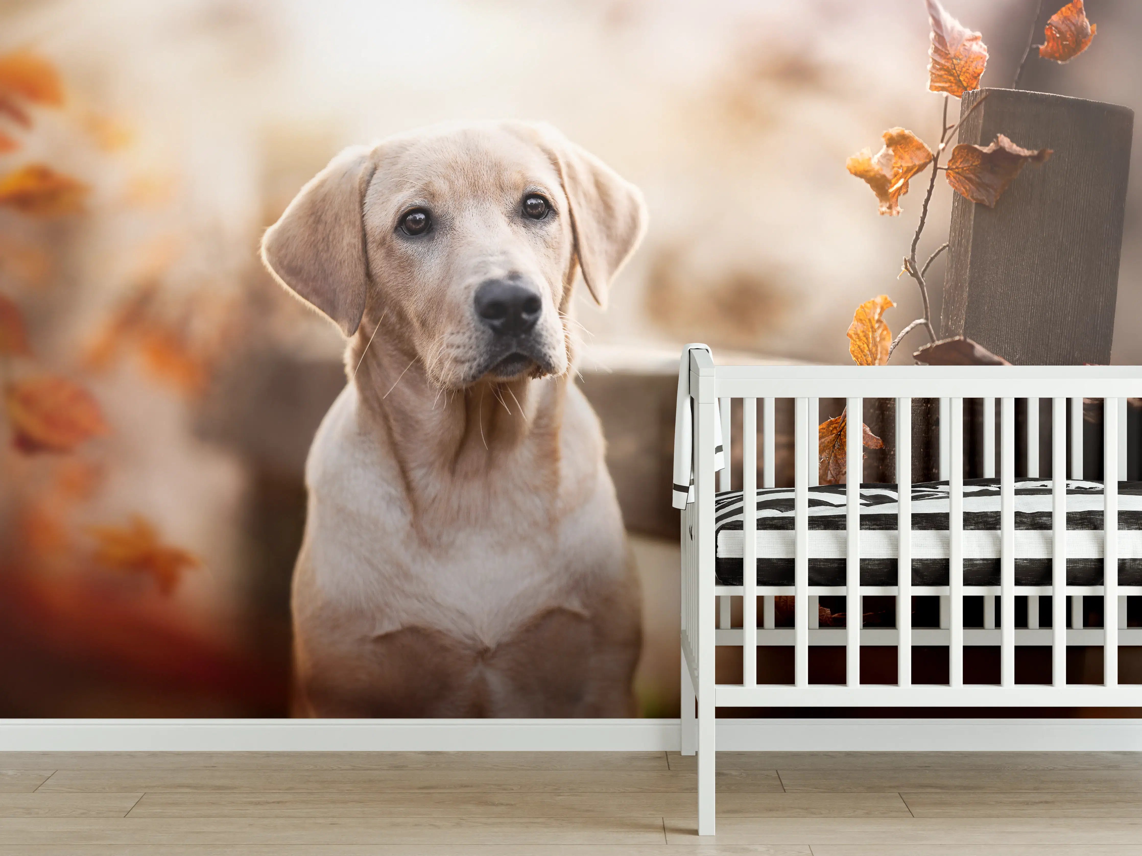 Babyzimmer Wandgestaltung - Niedlicher Labrador Welpe