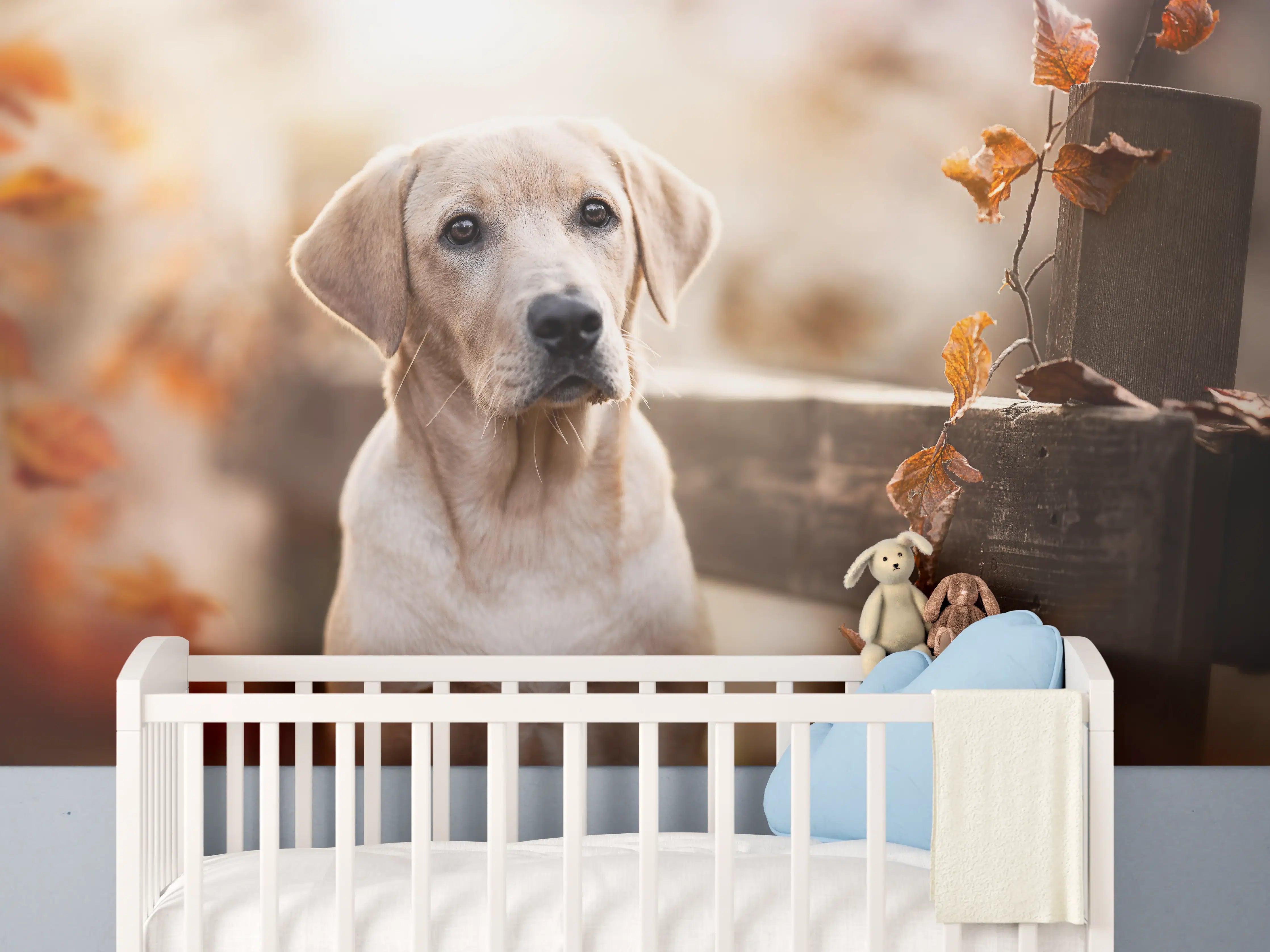 Babyzimmer Wandgestaltung - Niedlicher Labrador Welpe