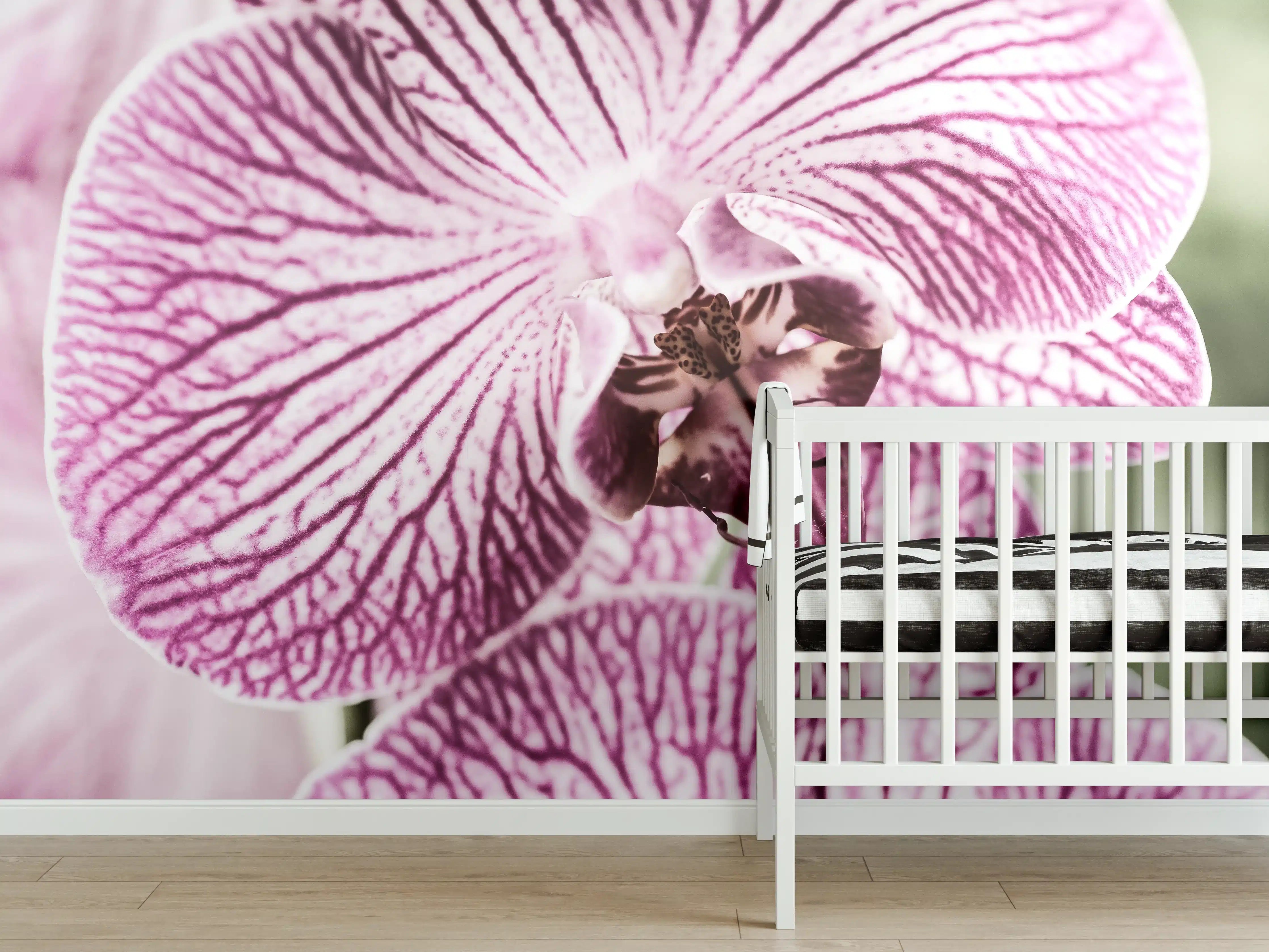 Babyzimmer Wandgestaltung - Orchideen Makro Pink-Lila