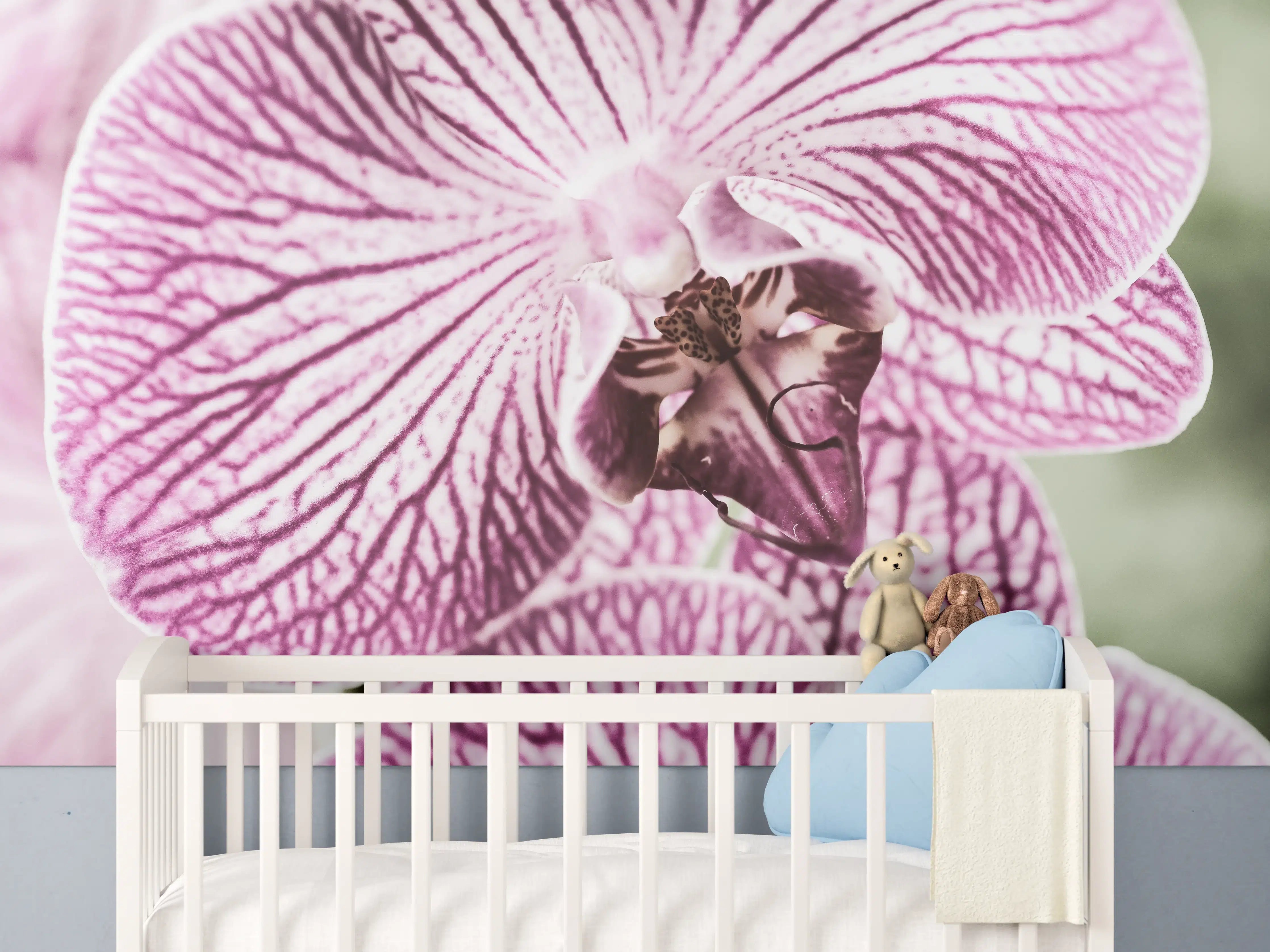 Babyzimmer Wandgestaltung - Orchideen Makro Pink-Lila