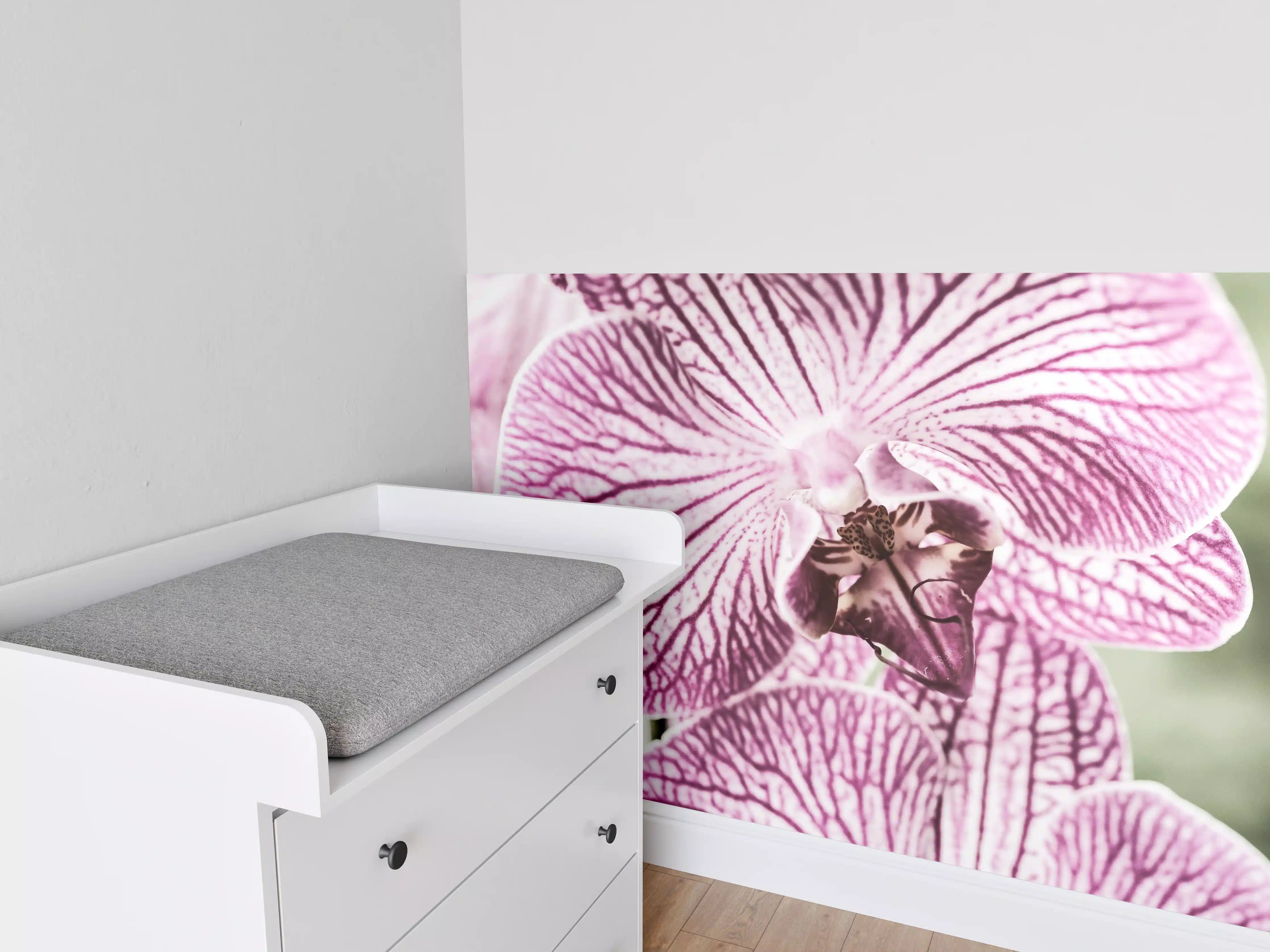 Babyzimmer Wandgestaltung - Orchideen Makro Pink-Lila