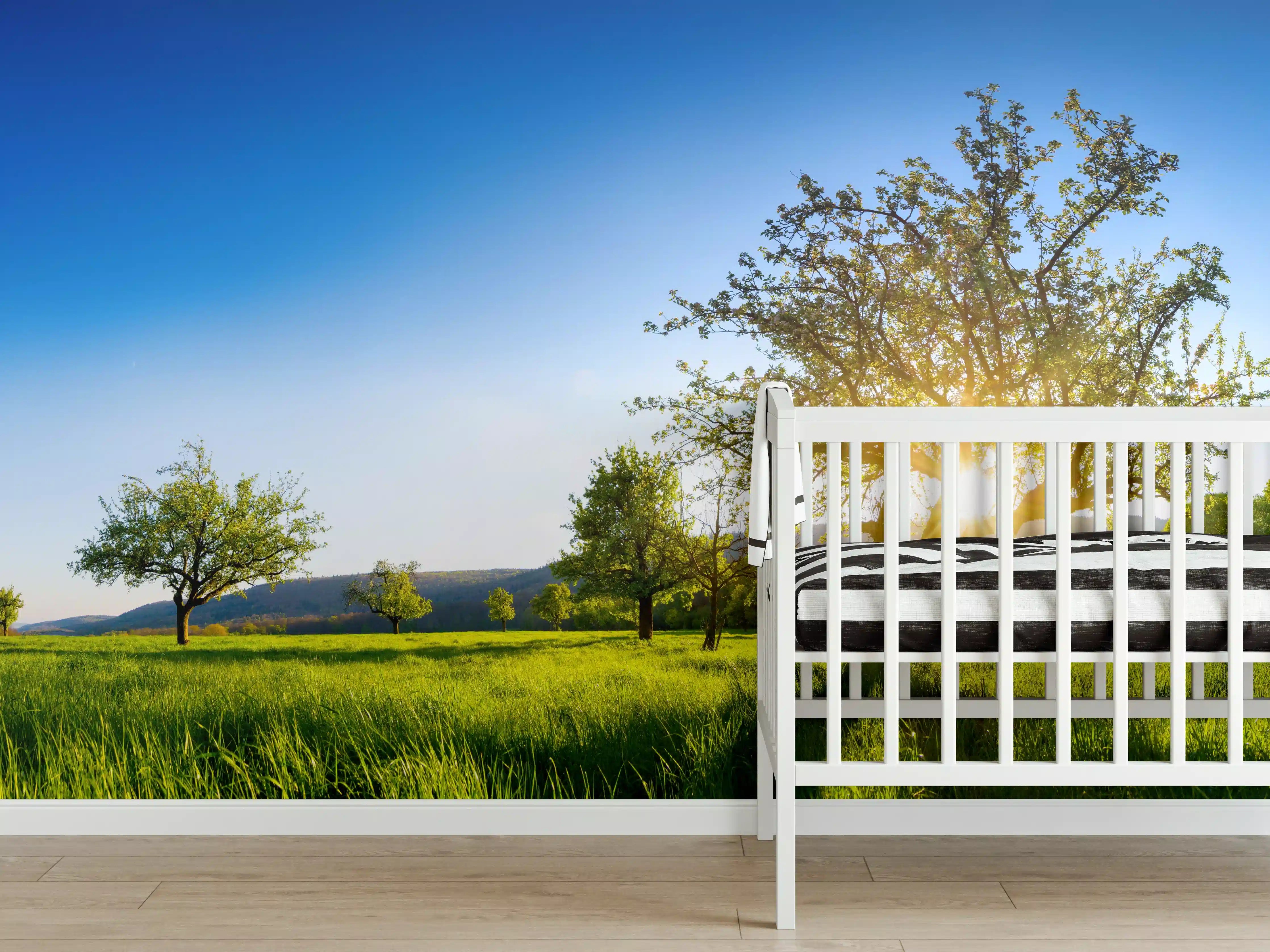 Babyzimmer Wandgestaltung - Panorama Ländliche Idylle