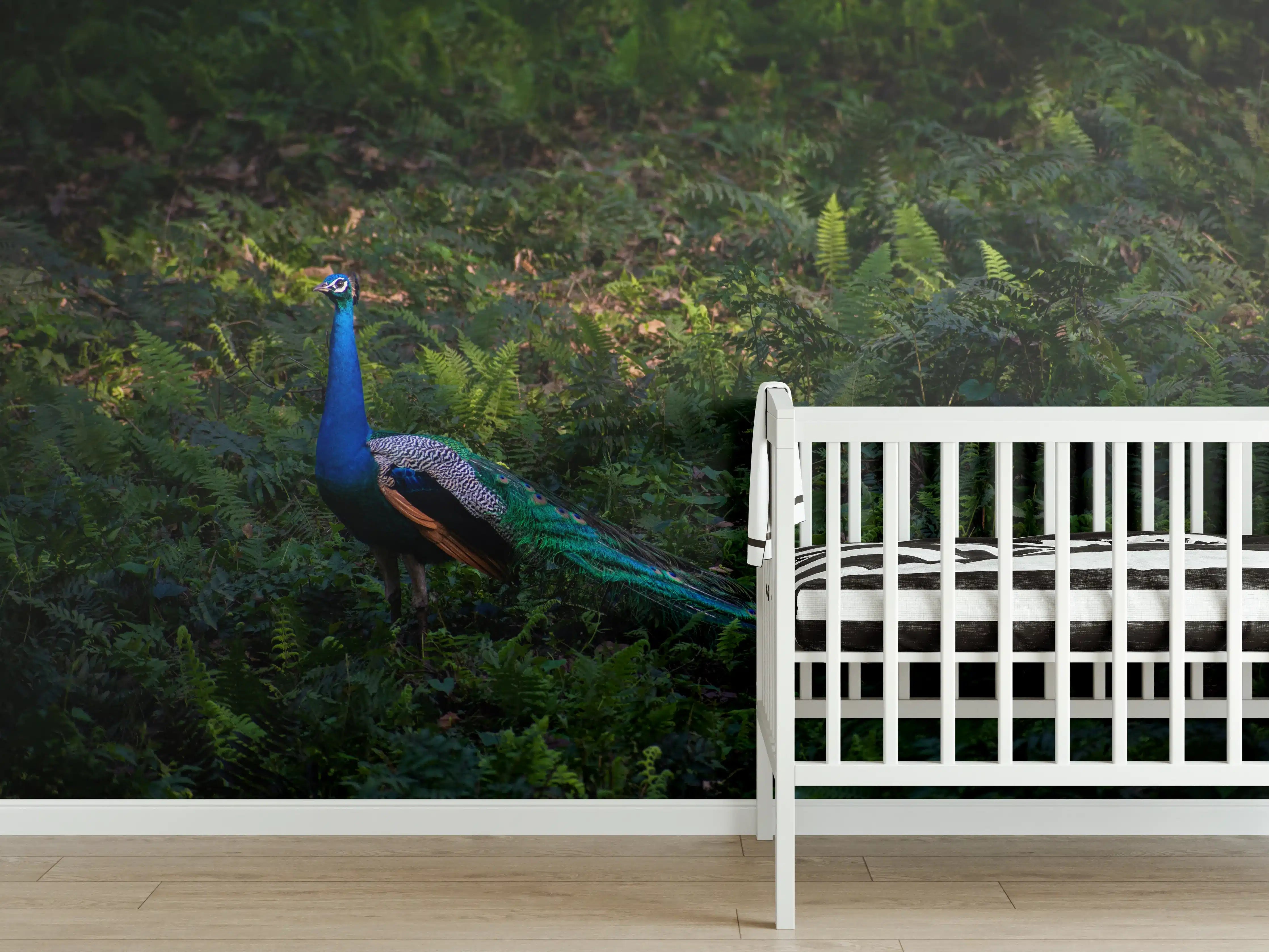 Babyzimmer Wandgestaltung - Pfau in freier Natur