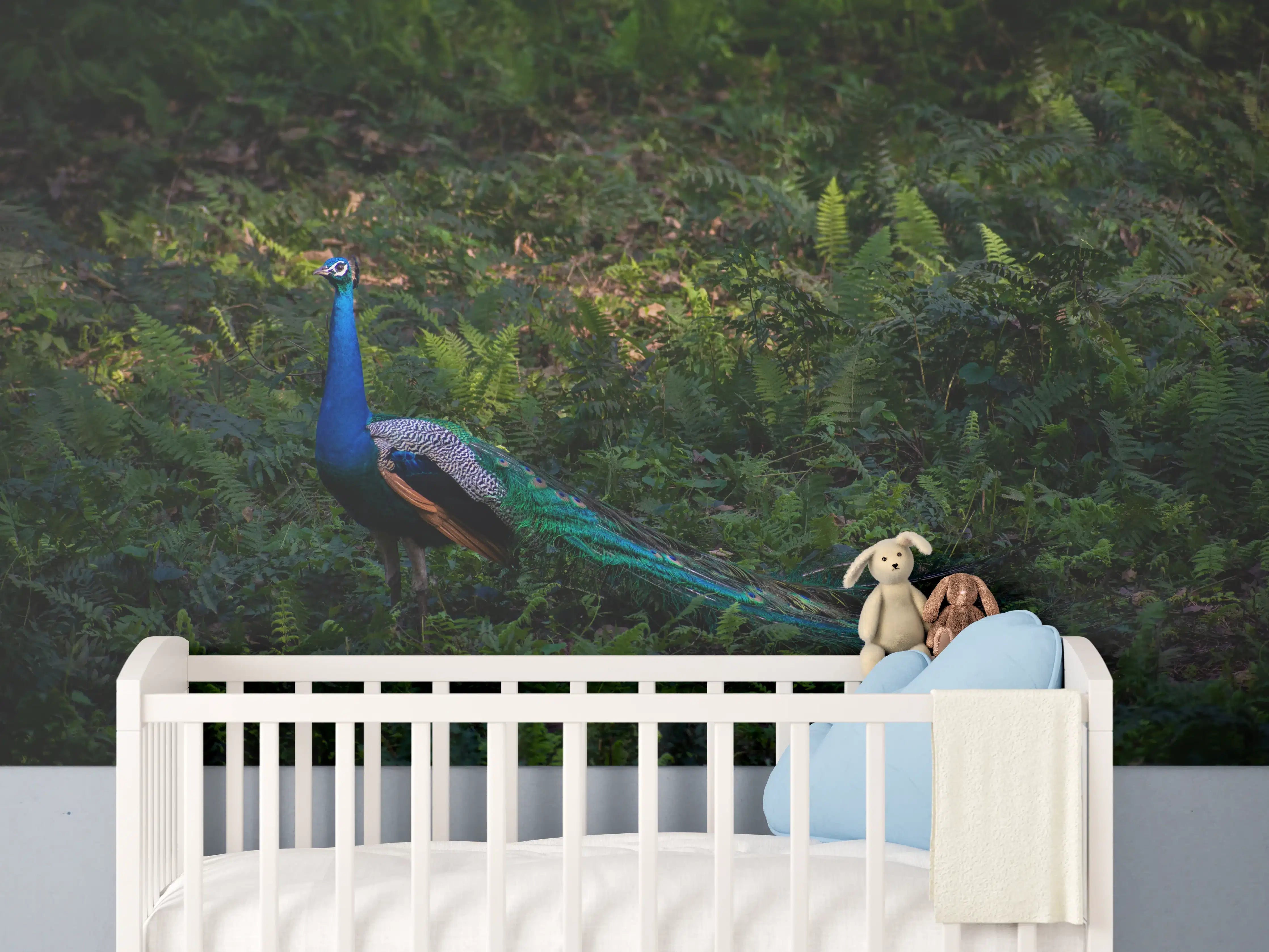 Babyzimmer Wandgestaltung - Pfau in freier Natur