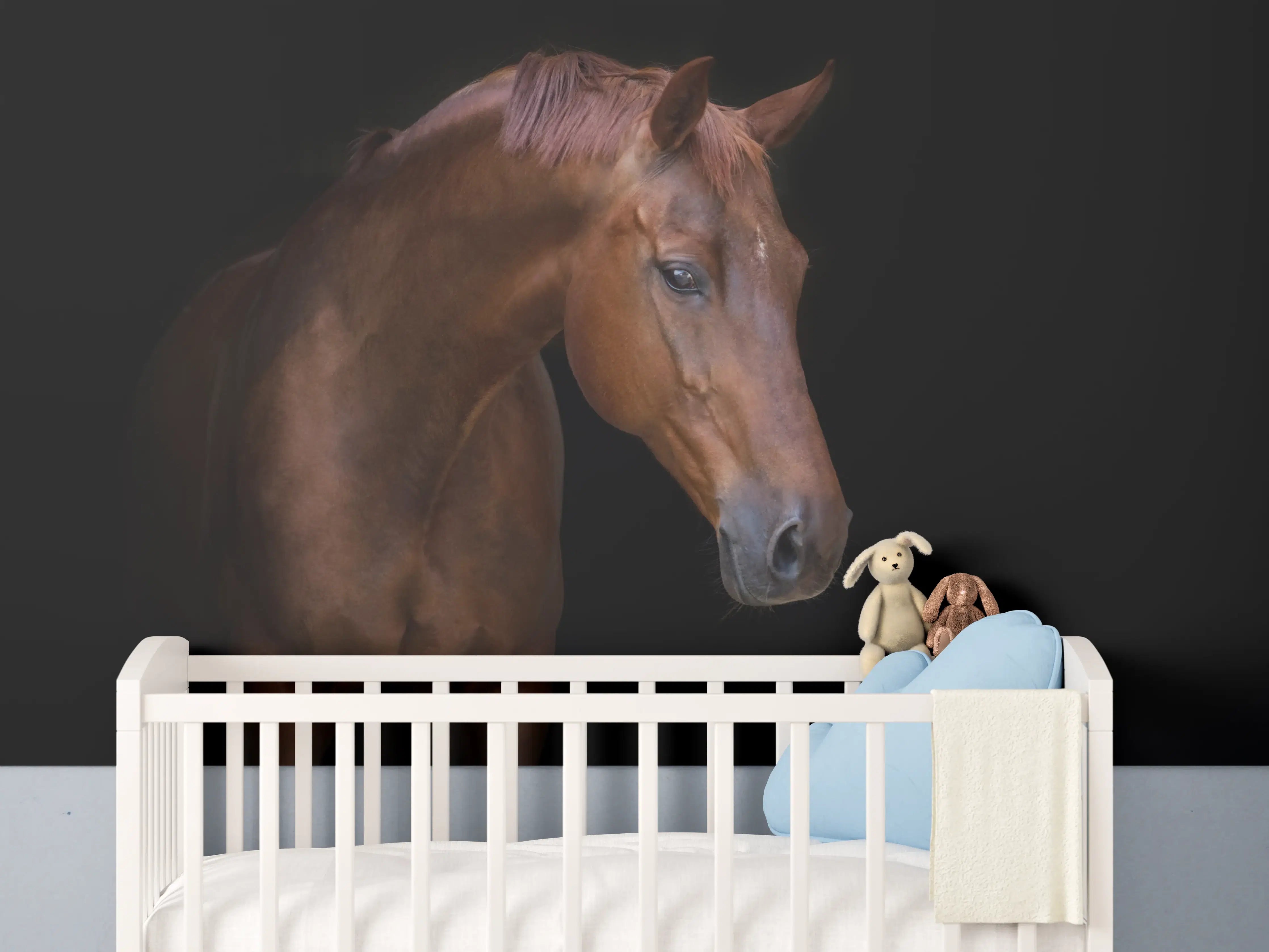 Babyzimmer Wandgestaltung - Pferde Porträt auf schwarzem Hintergrund