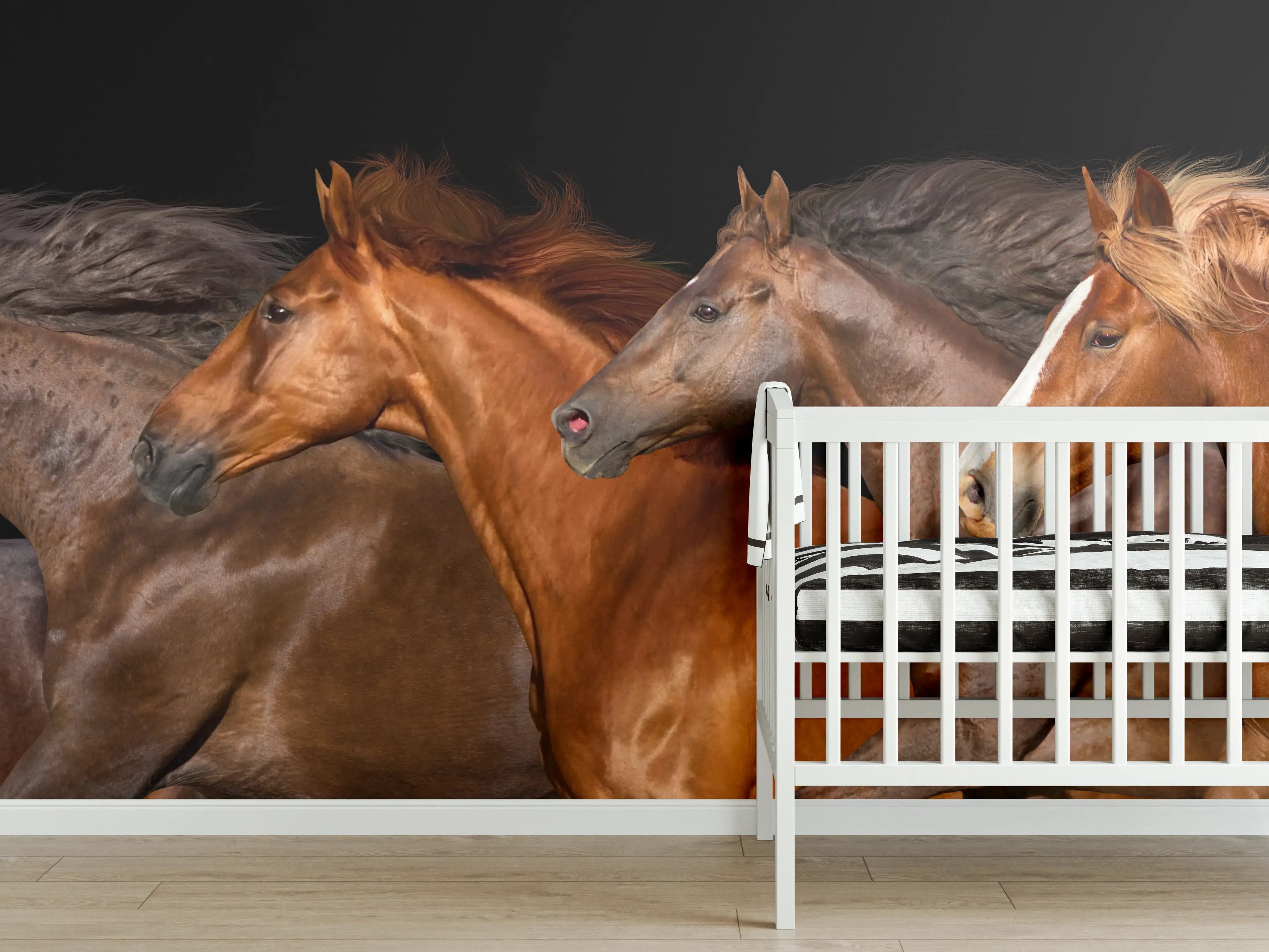 Babyzimmer Wandgestaltung - Pferdeherde Schwarz Hintergrund