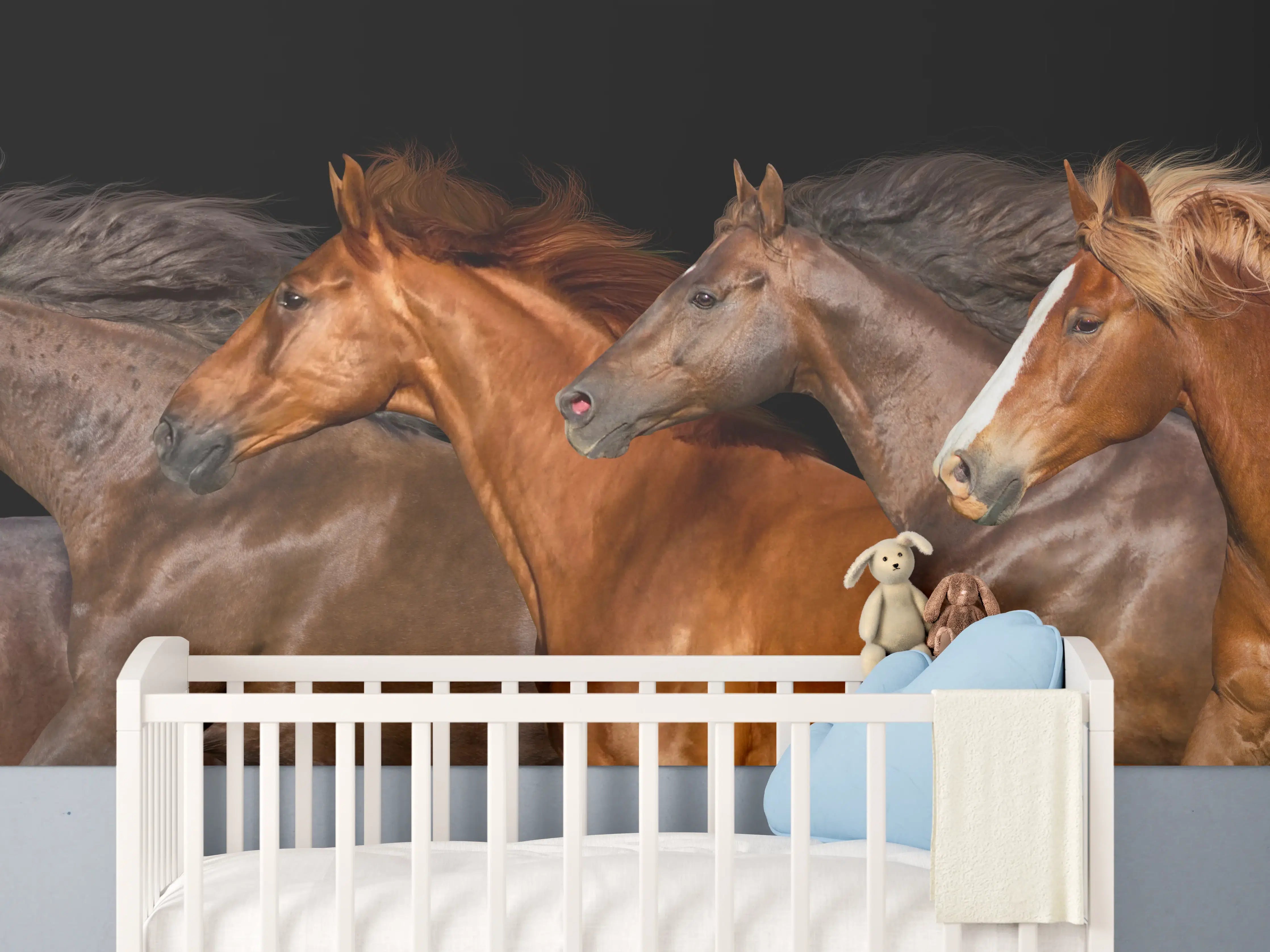 Babyzimmer Wandgestaltung - Pferdeherde Schwarz Hintergrund