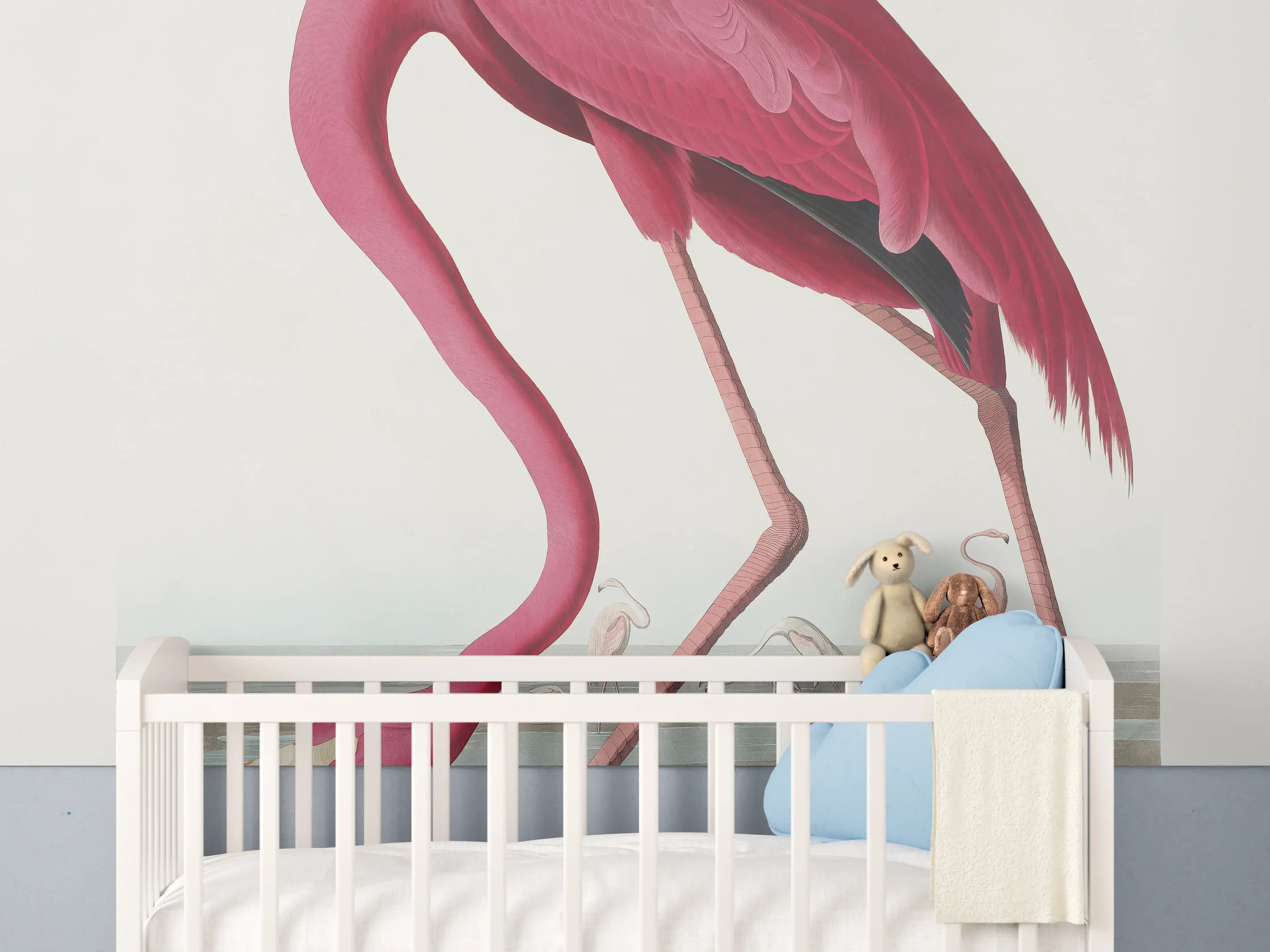 Babyzimmer Wandgestaltung - Pinker Flamingo - John James Audubon