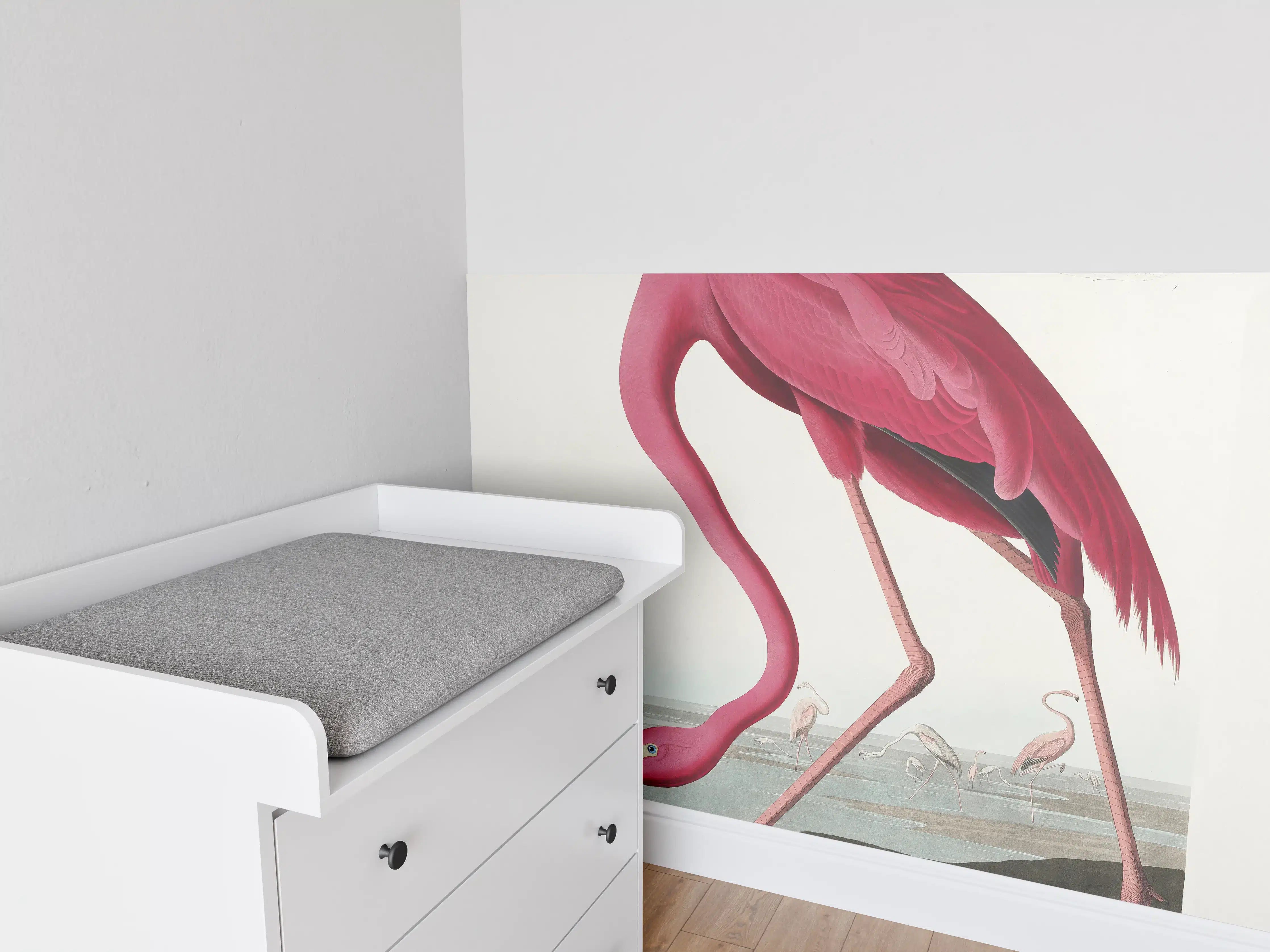 Babyzimmer Wandgestaltung - Pinker Flamingo - John James Audubon