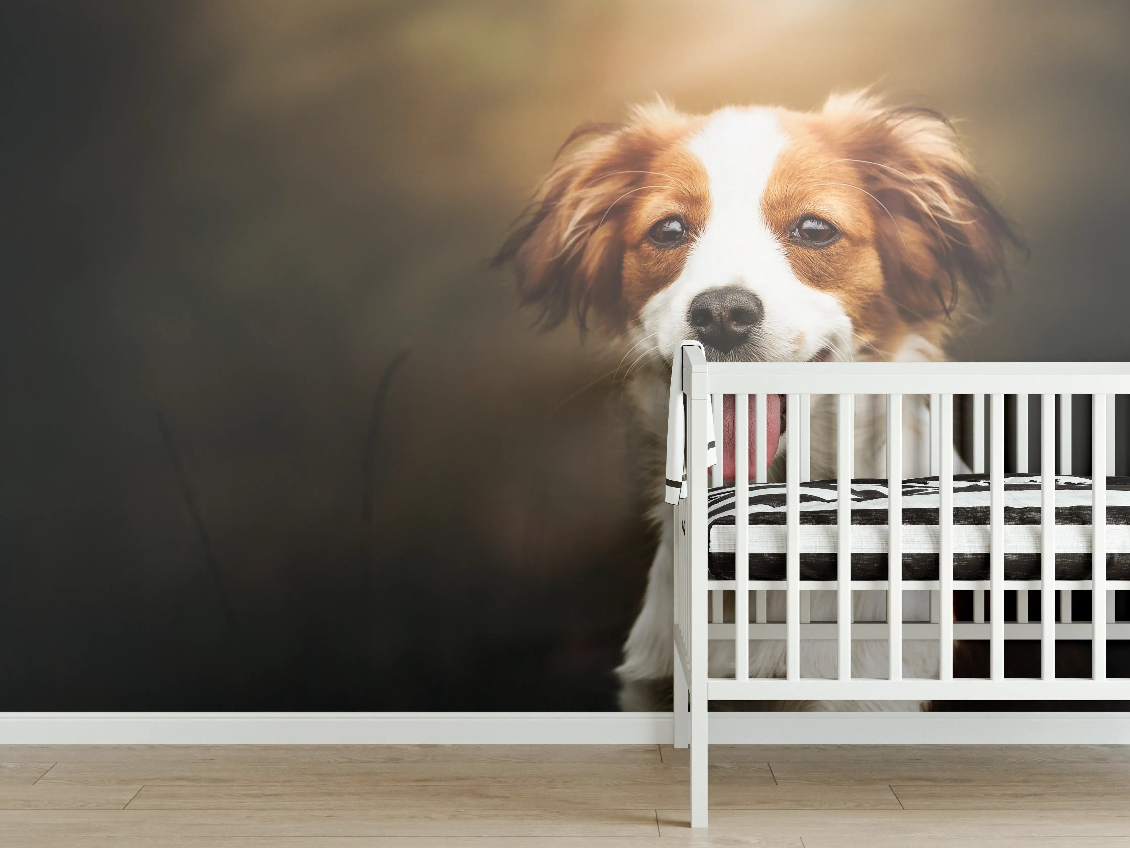 Babyzimmer Wandgestaltung - Porträt eines niedlichen Kooiker-Hundes