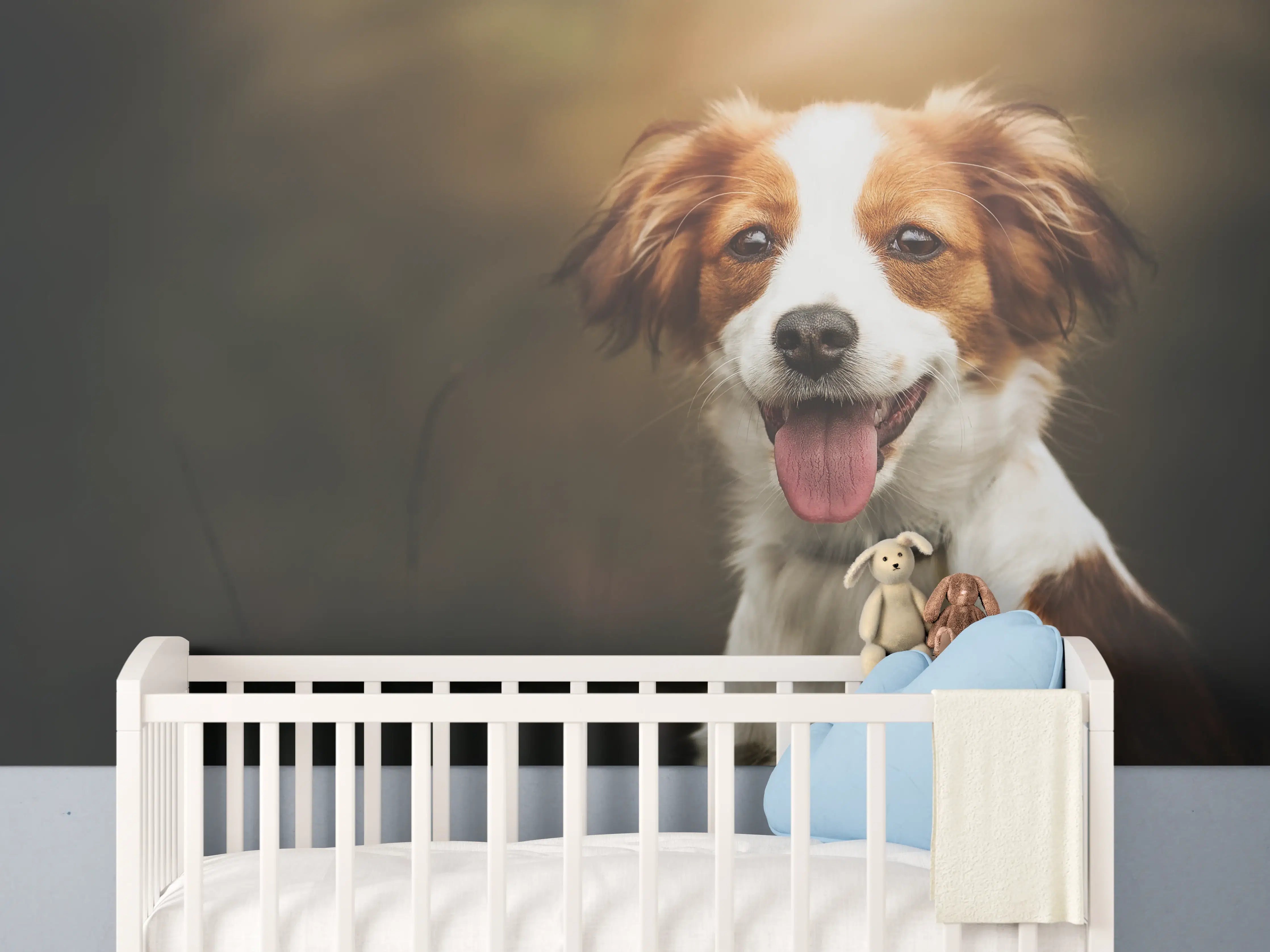 Babyzimmer Wandgestaltung - Porträt eines niedlichen Kooiker-Hundes