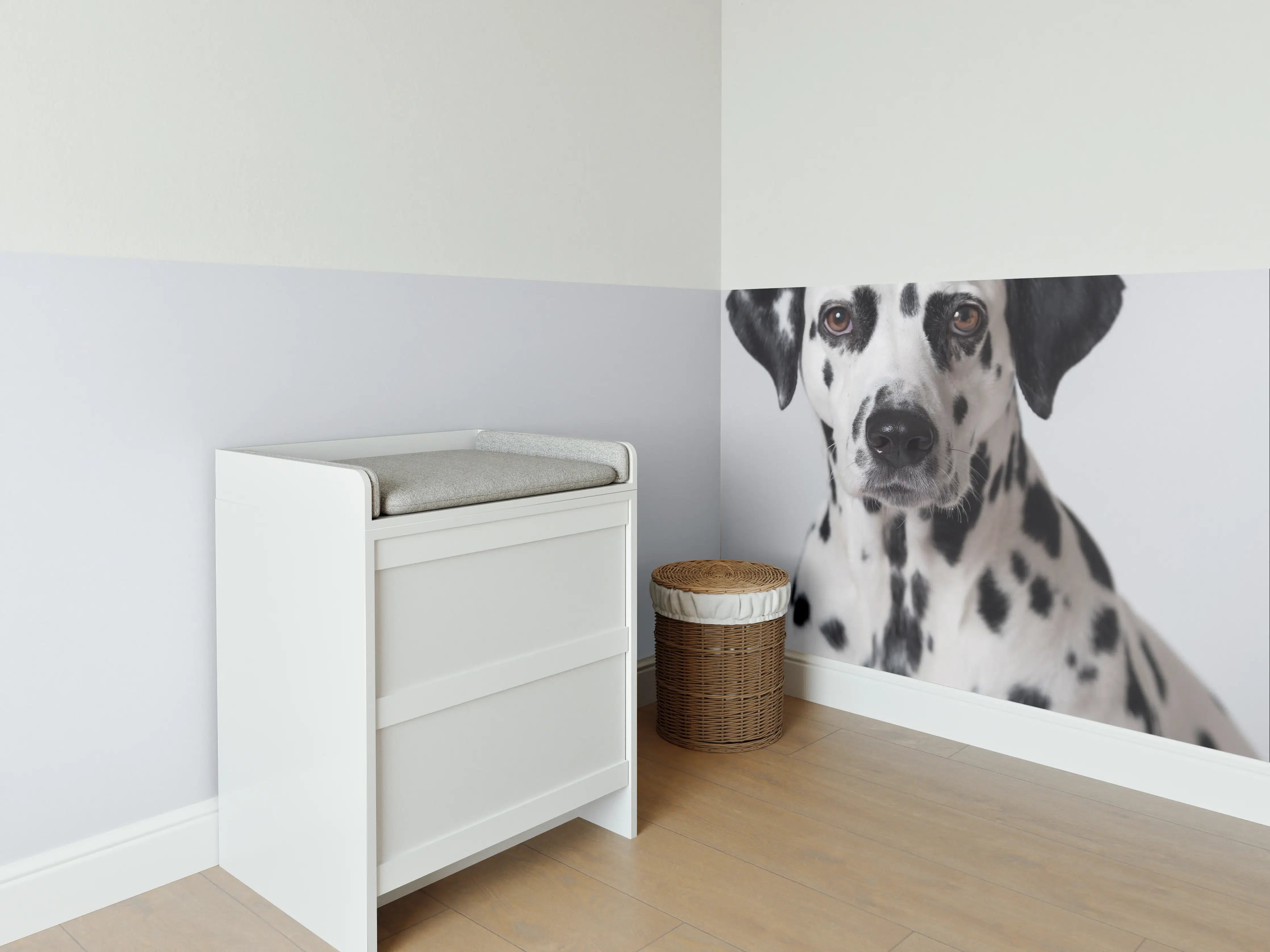 Babyzimmer Wandgestaltung - Portrait eines Dalmatiners auf weißem Hintergrund
