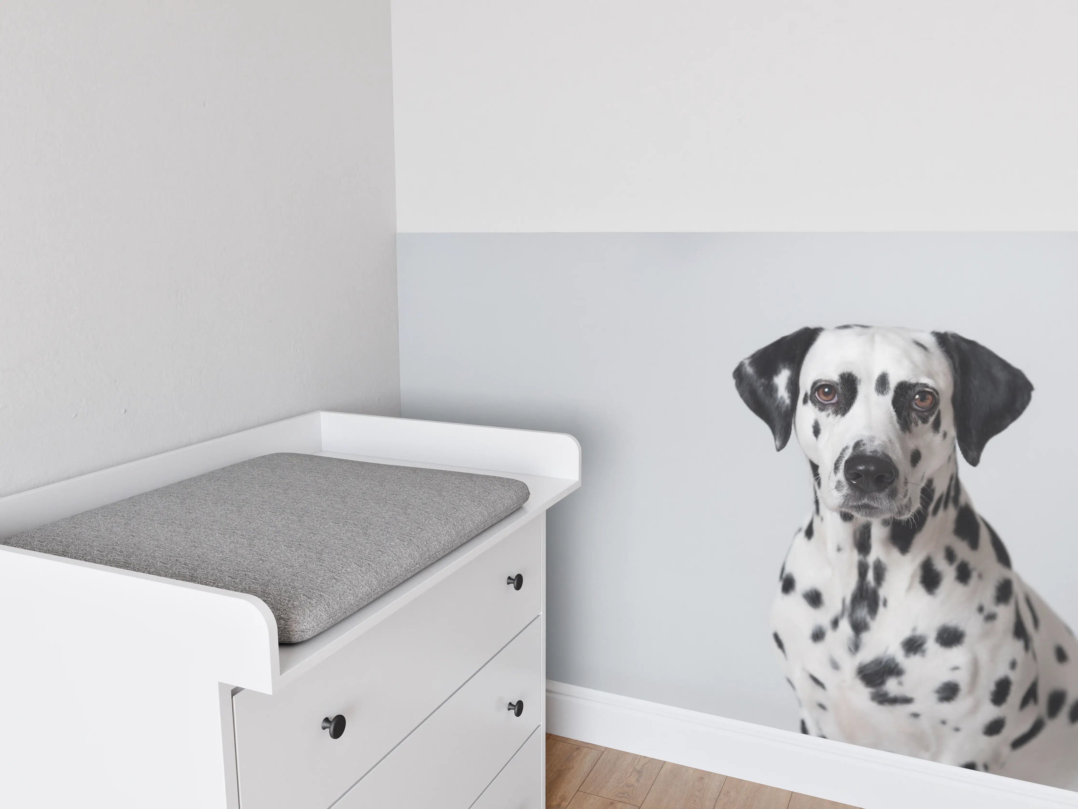 Babyzimmer Wandgestaltung - Portrait eines Dalmatiners auf weißem Hintergrund