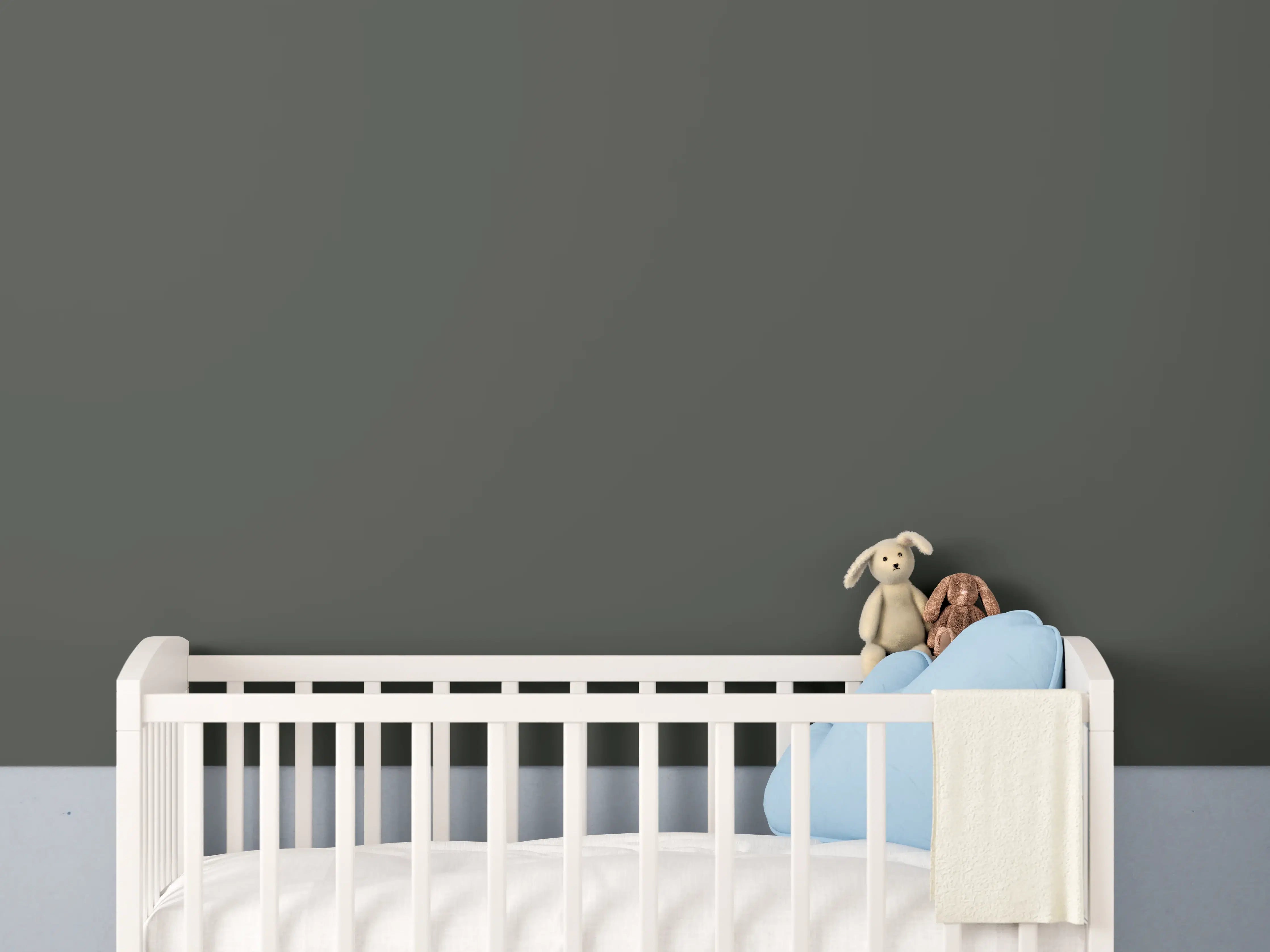 Babyzimmer Wandgestaltung - RAL 6006 (Olivgrau)