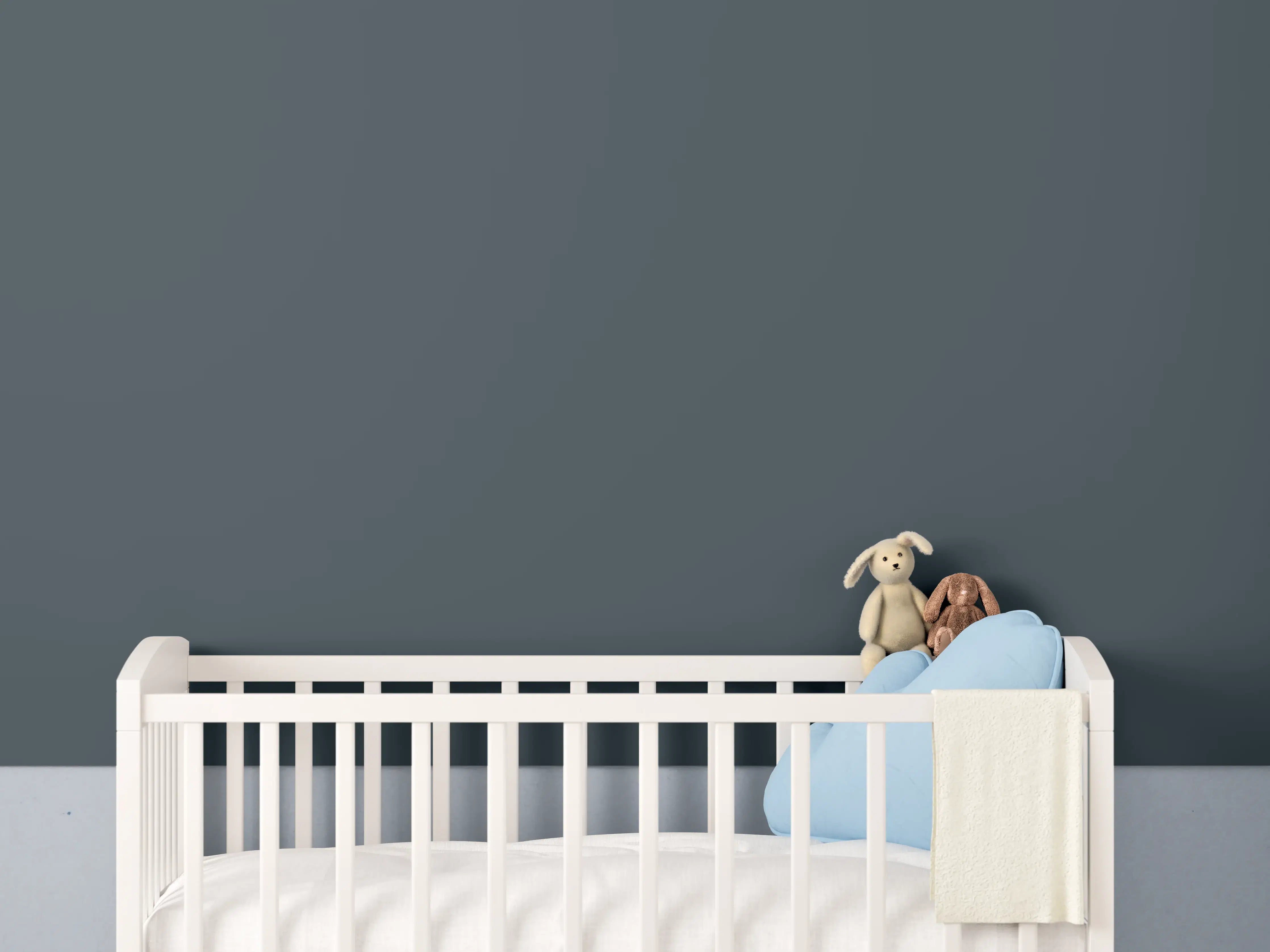 Babyzimmer Wandgestaltung - RAL 7026 (Granitgrau)