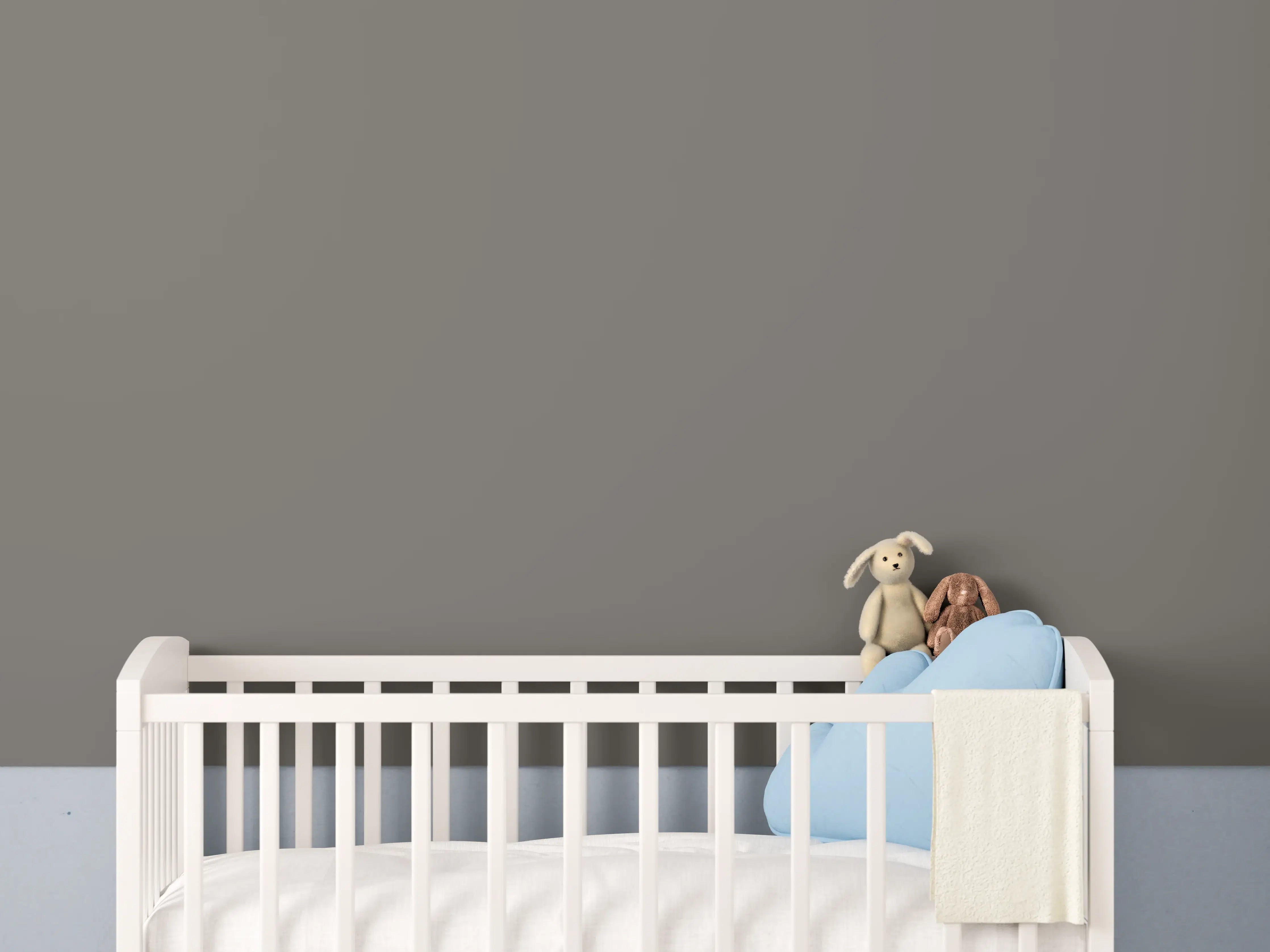 Babyzimmer Wandgestaltung - RAL 7039 (Quarzgrau)