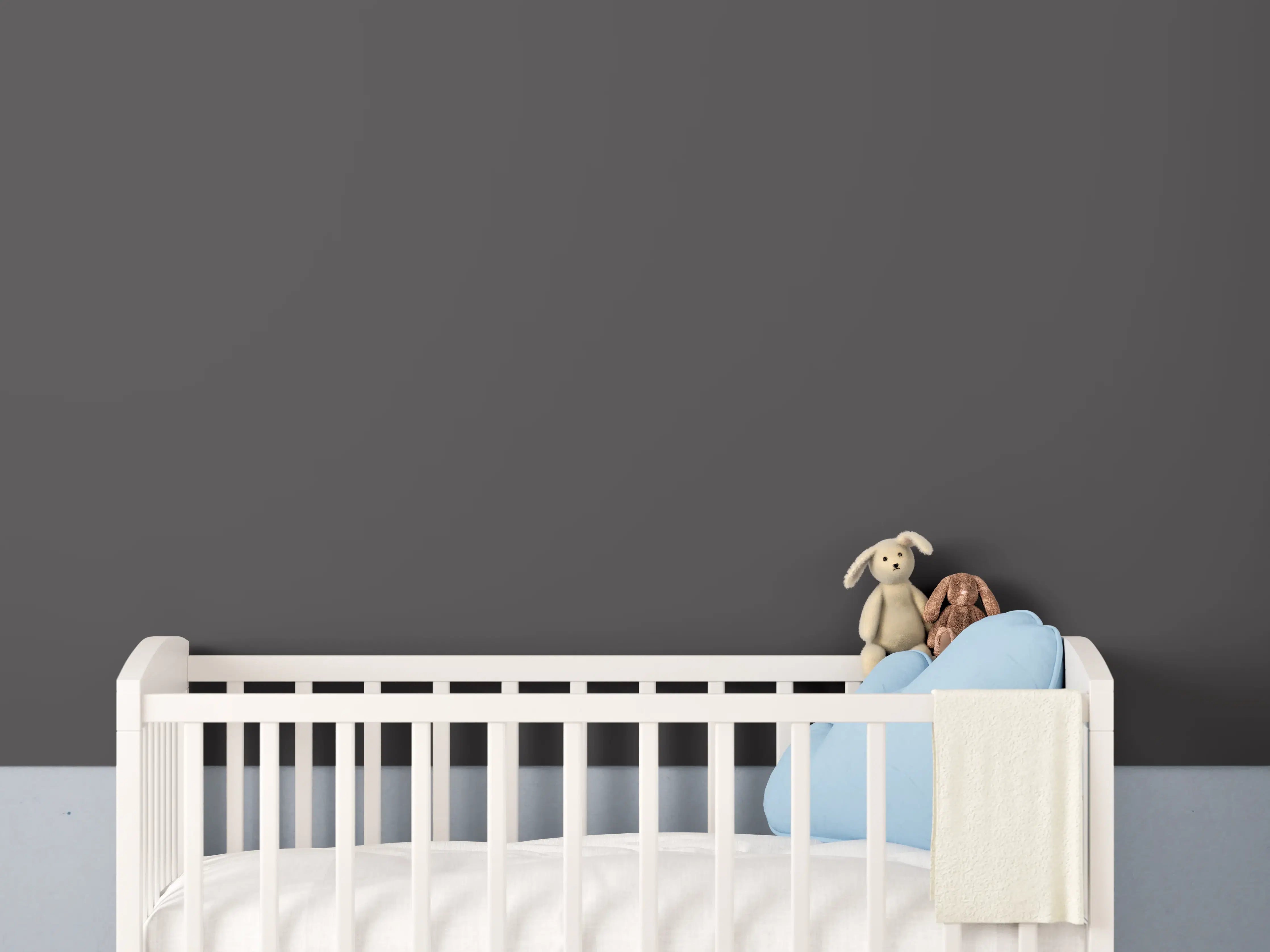 Babyzimmer Wandgestaltung - RAL 8019 (Graubraun)