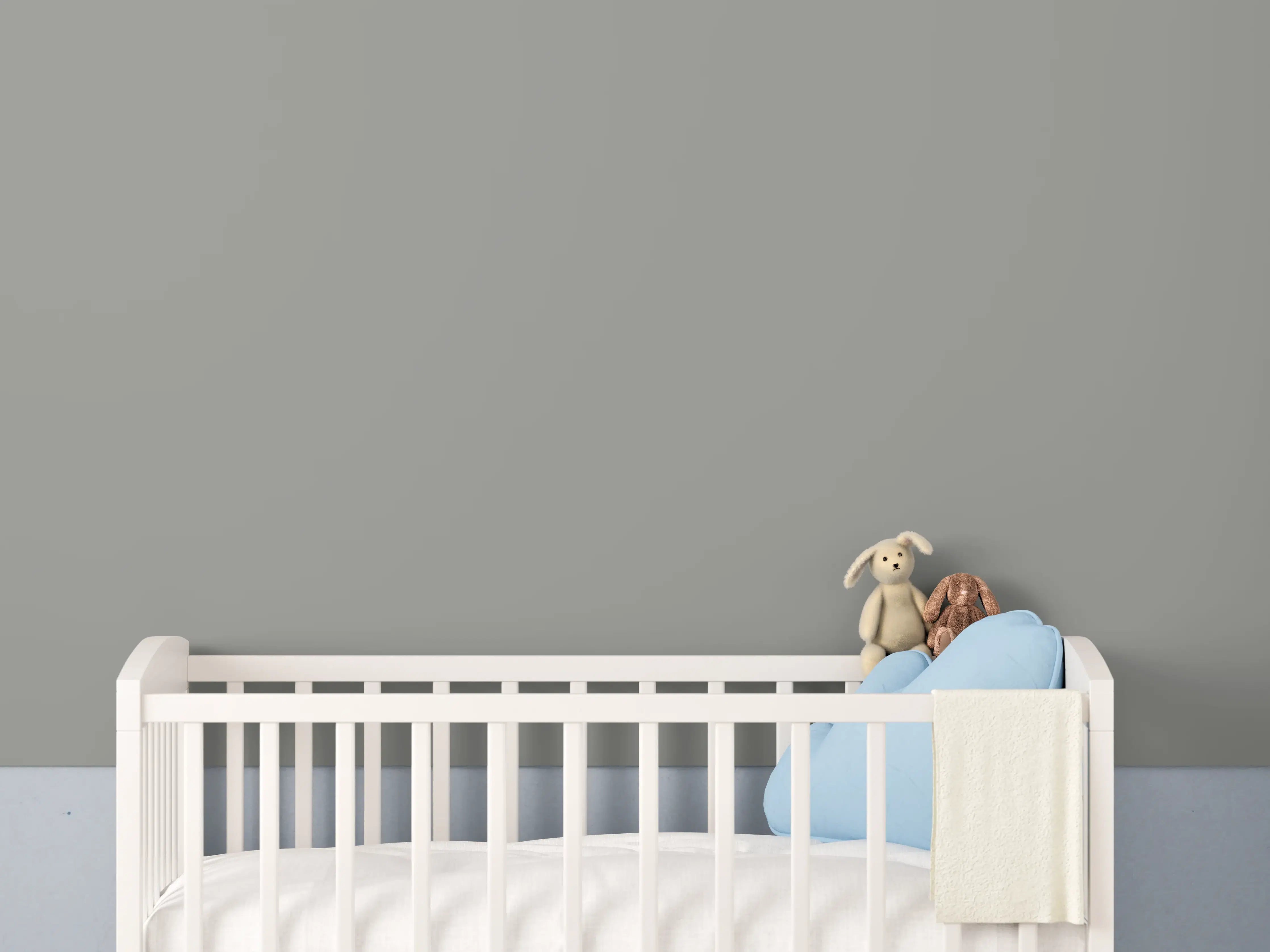 Babyzimmer Wandgestaltung - RAL 9007 (Graualuminium)