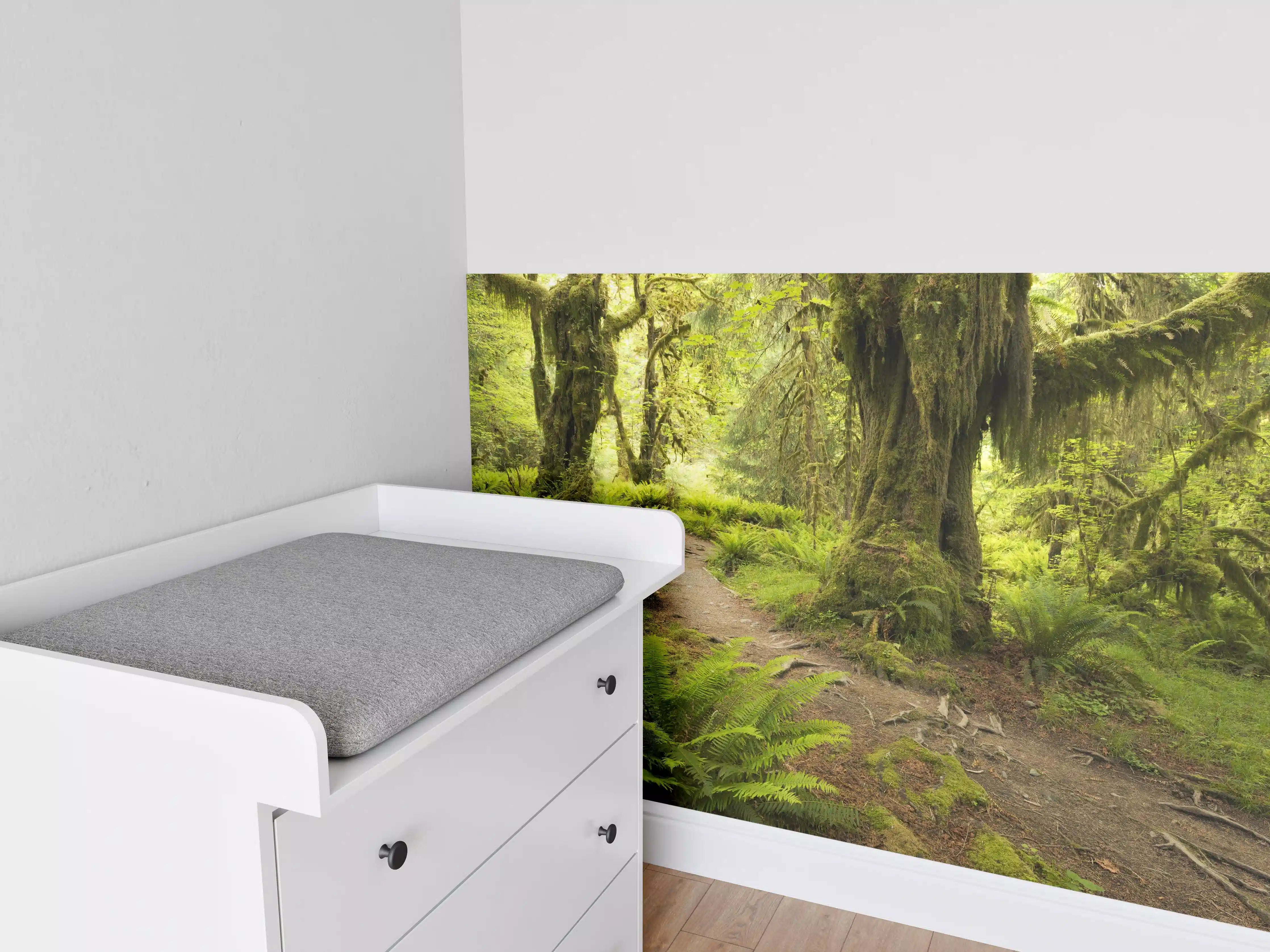 Babyzimmer Wandgestaltung - Regenwald in Amerika