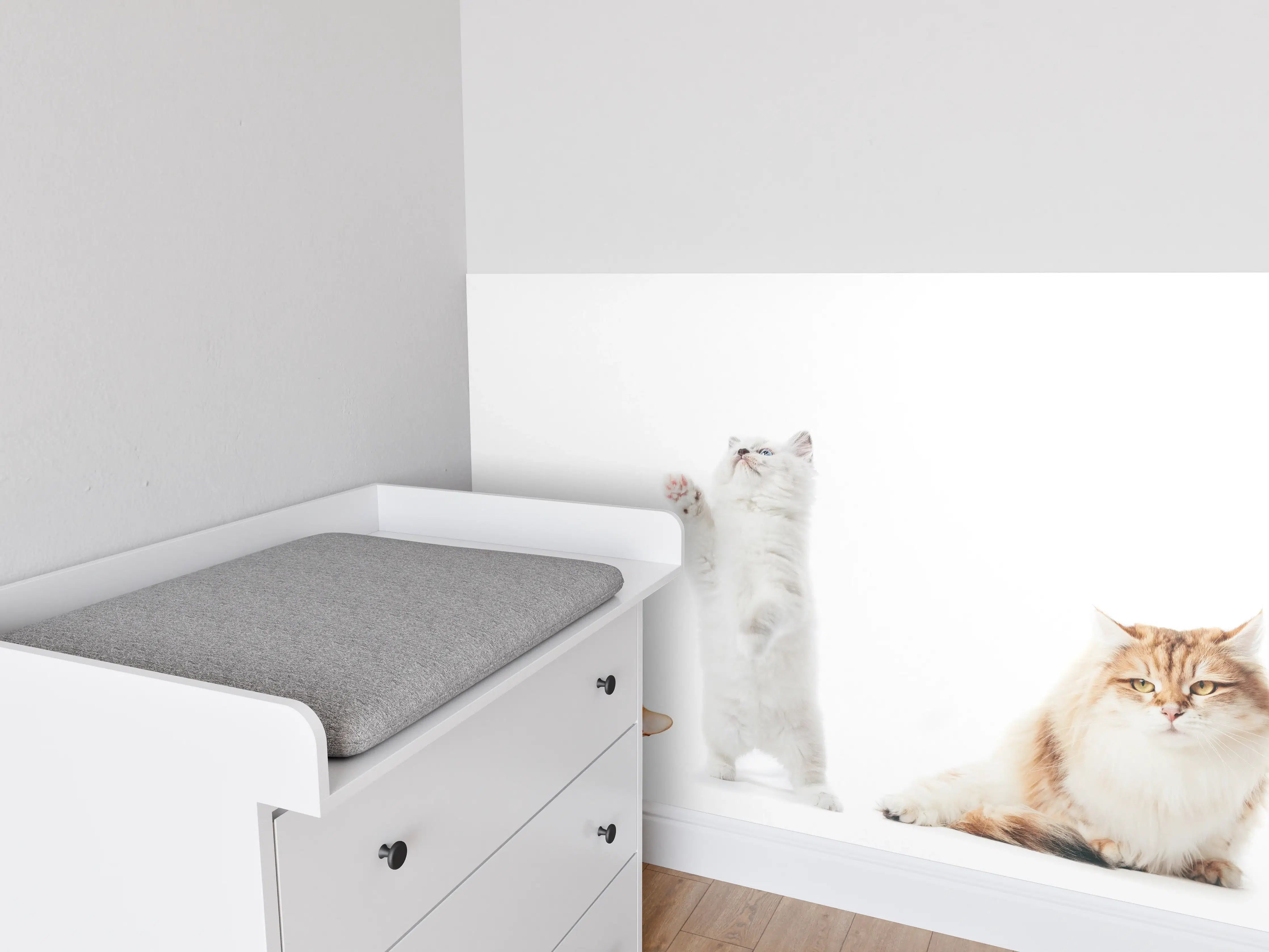 Babyzimmer Wandgestaltung - Reinrassige Katzen Weiß-Sammlung