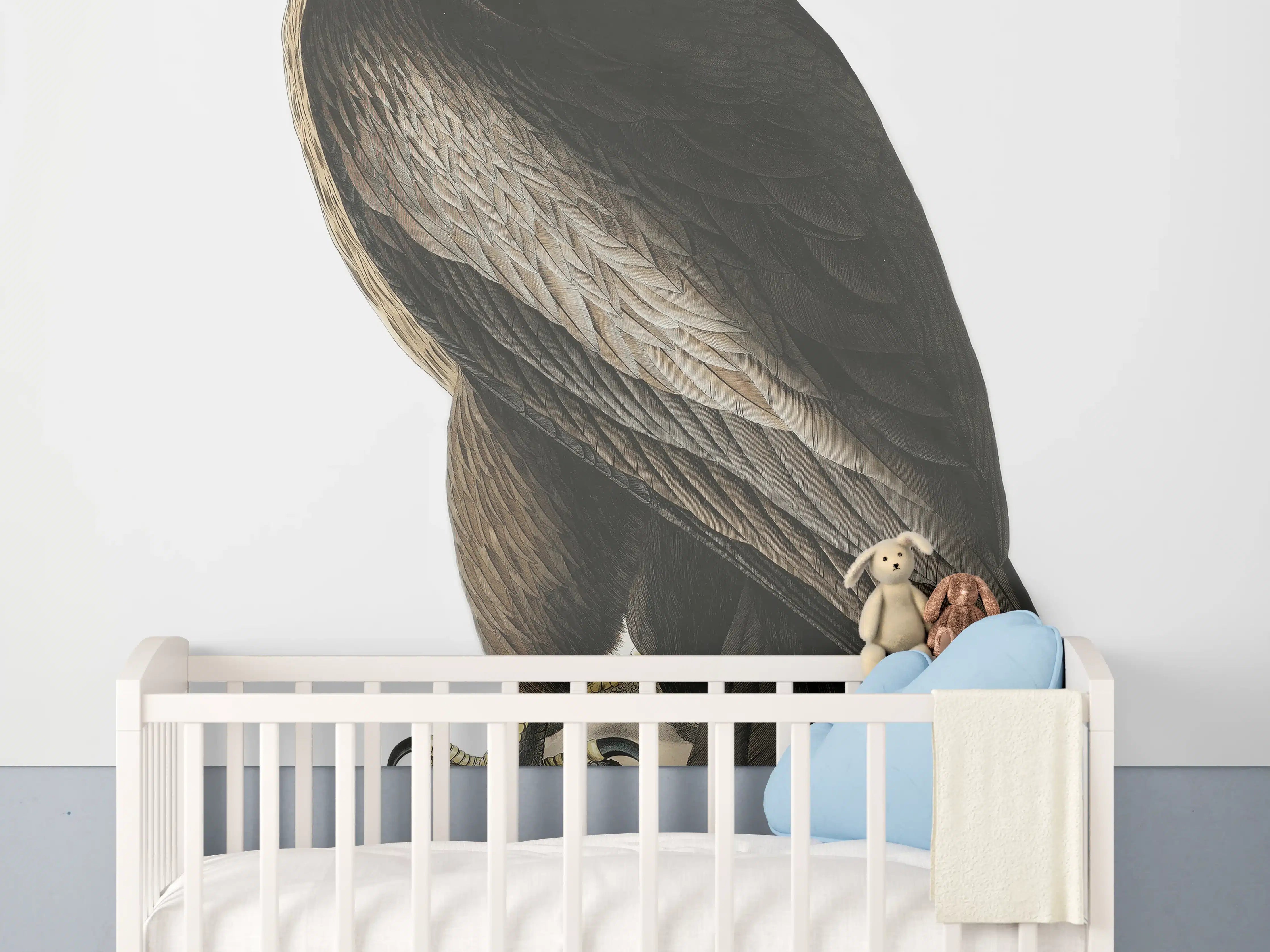 Babyzimmer Wandgestaltung - Riesenseeadler Portrait - John James Audubon