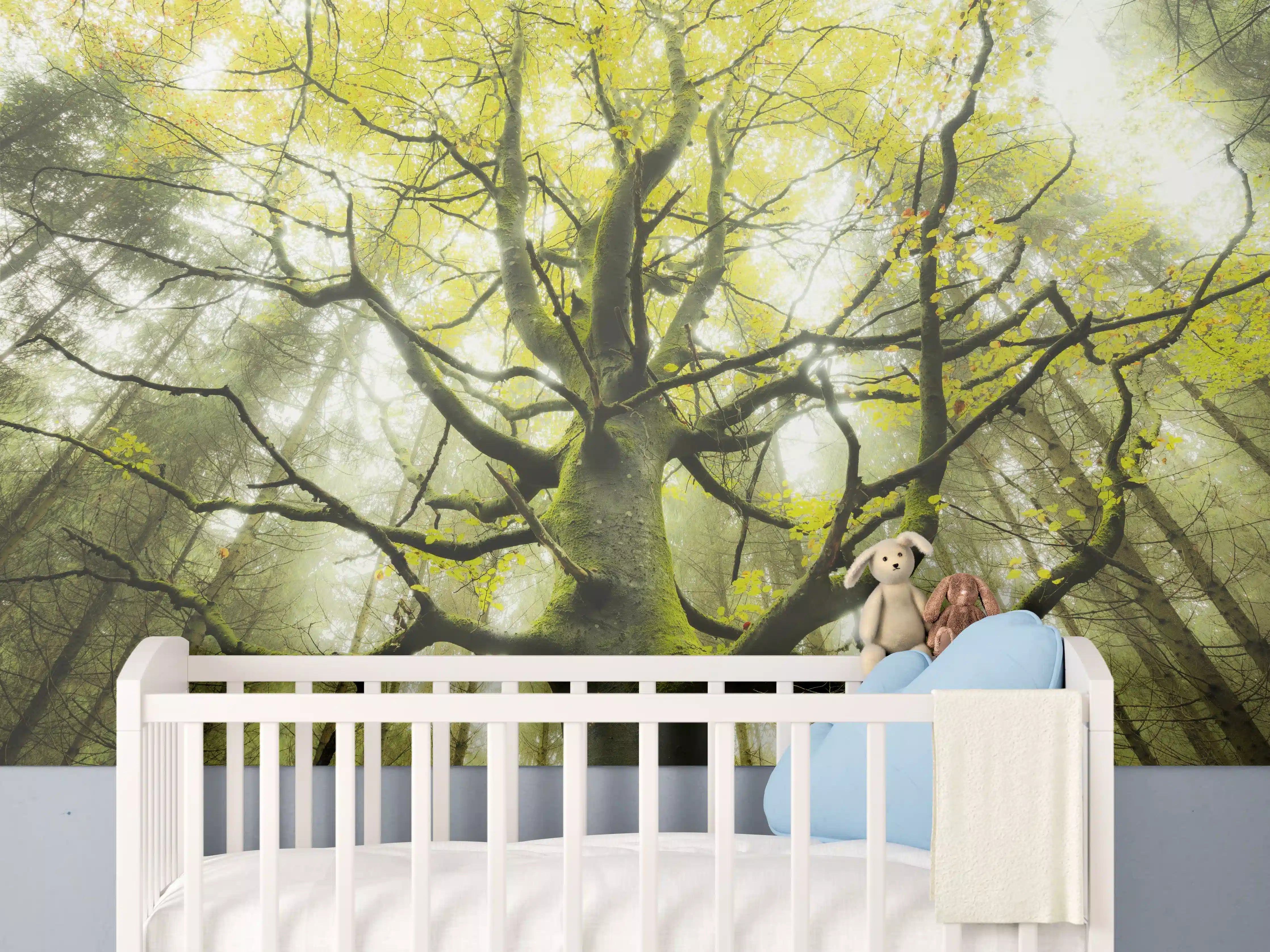 Babyzimmer Wandgestaltung - Riesiger Baum in Bayern
