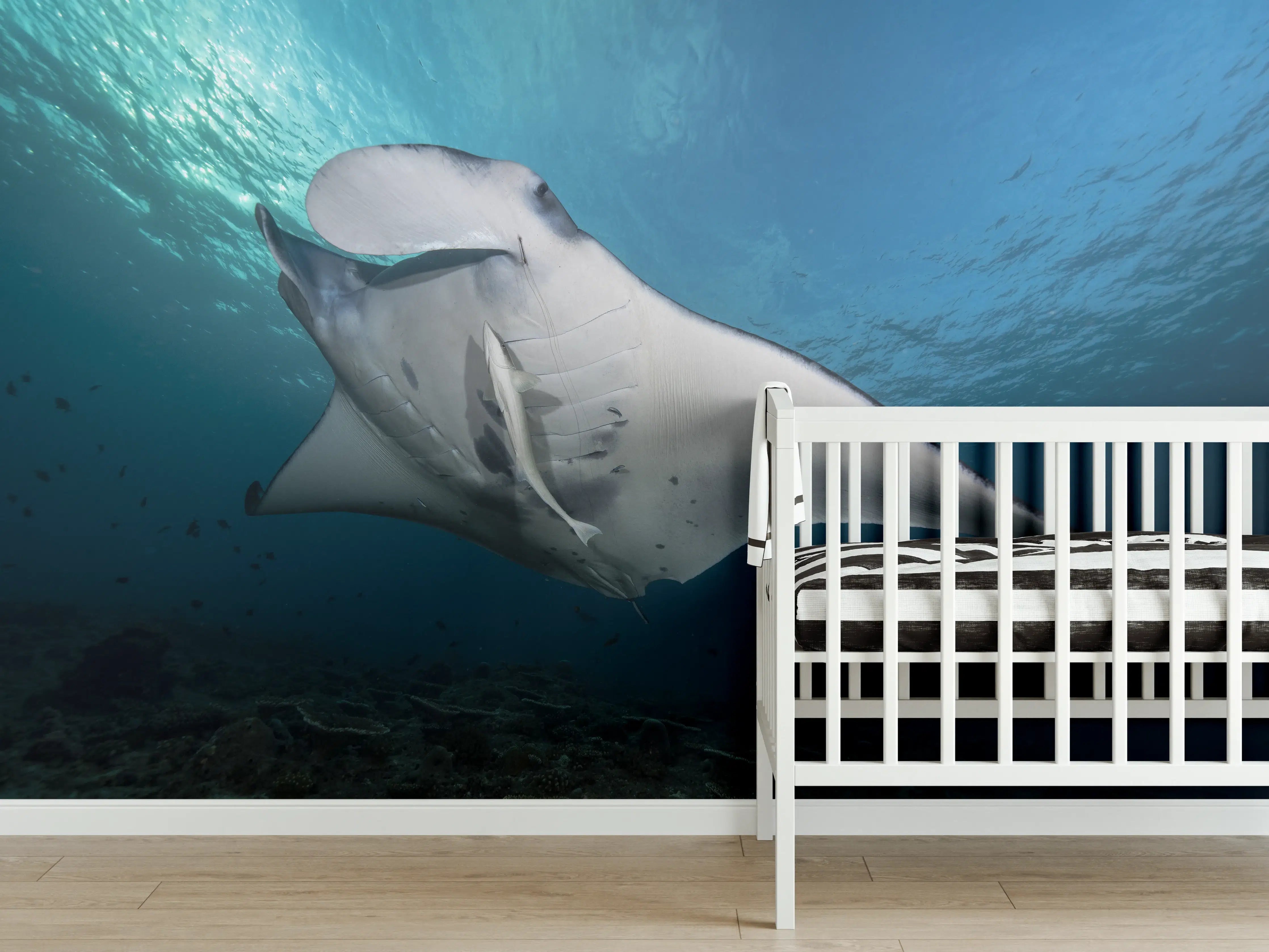 Babyzimmer Wandgestaltung - Riff-Manta Unterwasser
