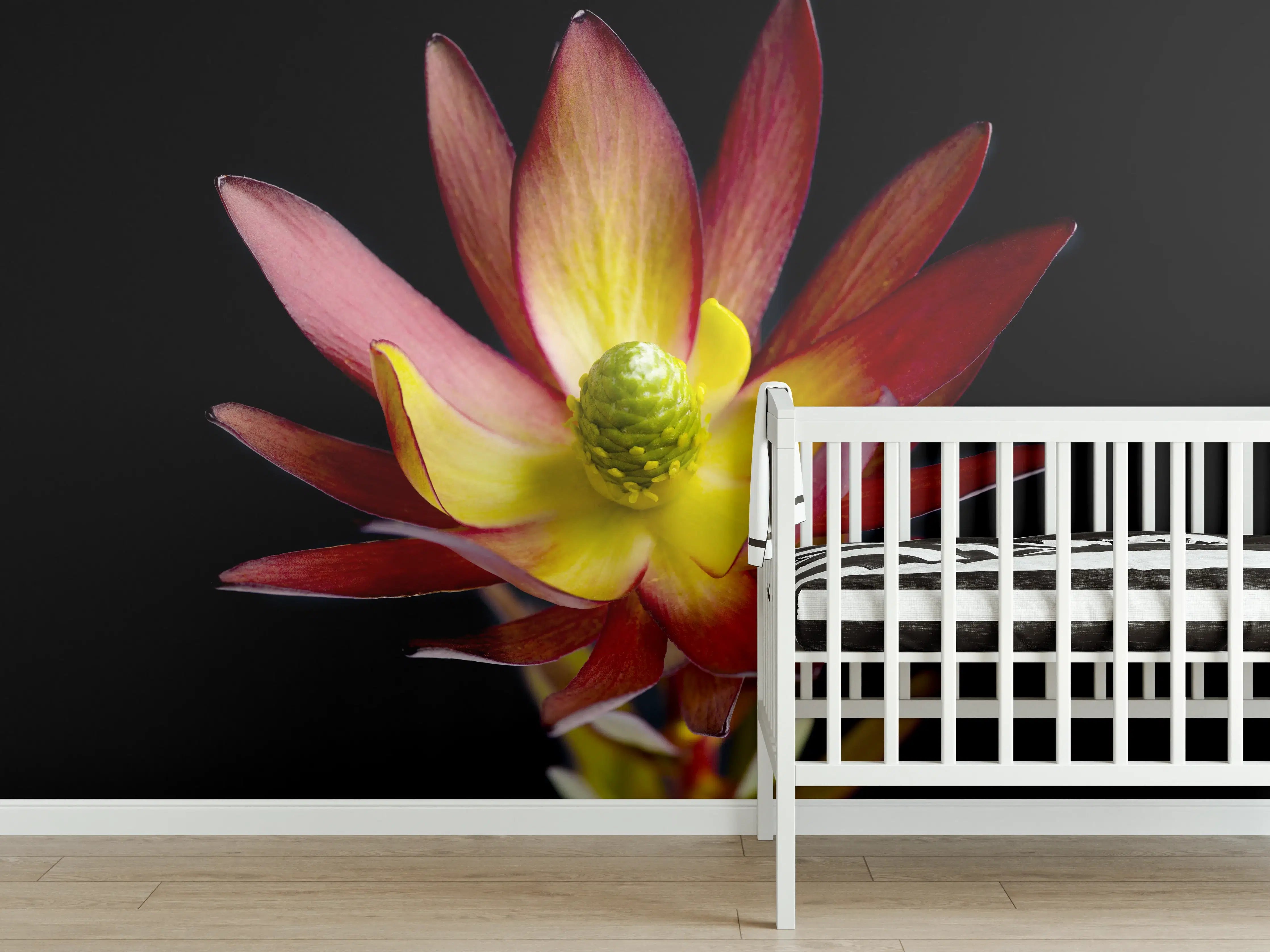 Babyzimmer Wandgestaltung - Rötliche aufblühende Lotosblume