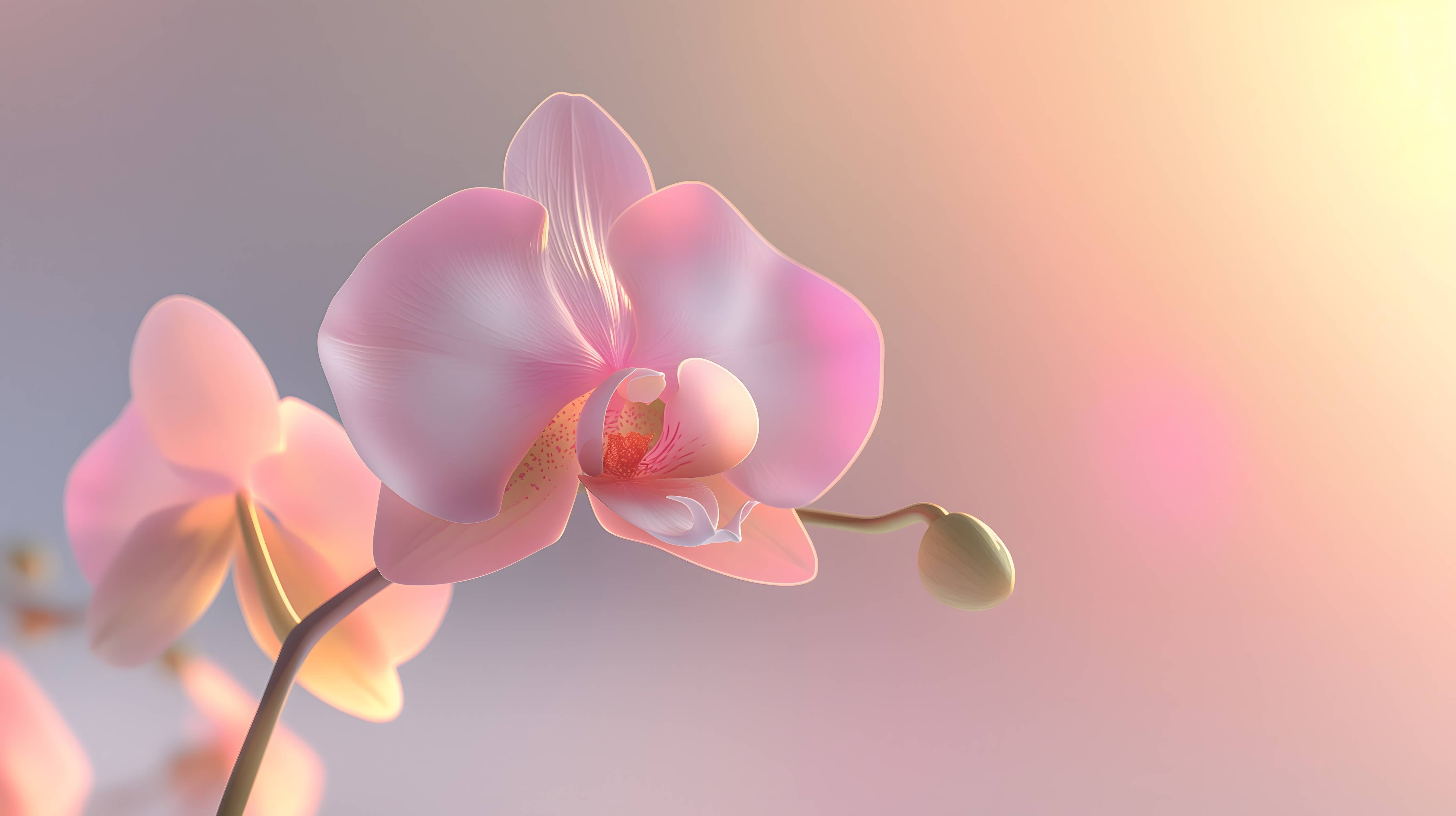 Babyzimmer Wandgestaltung-Rosa Orchidee Pastellhintergrund