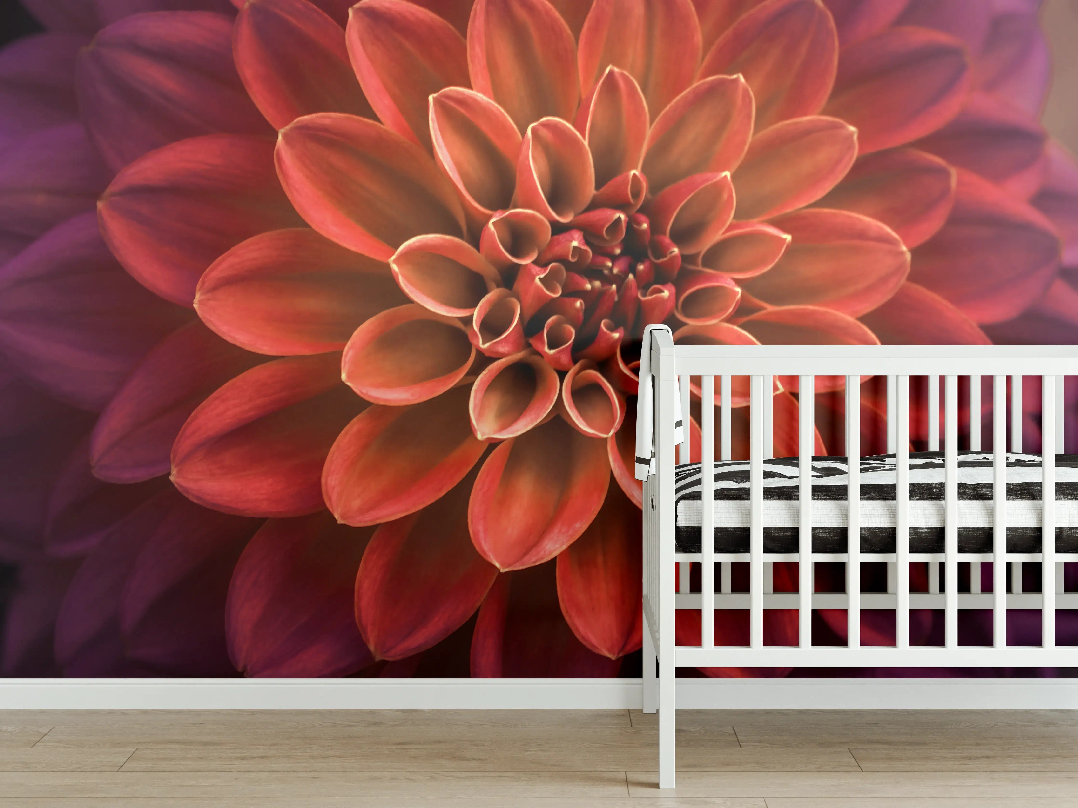 Babyzimmer Wandgestaltung - Rosa und lila Dahlienblütenblätter