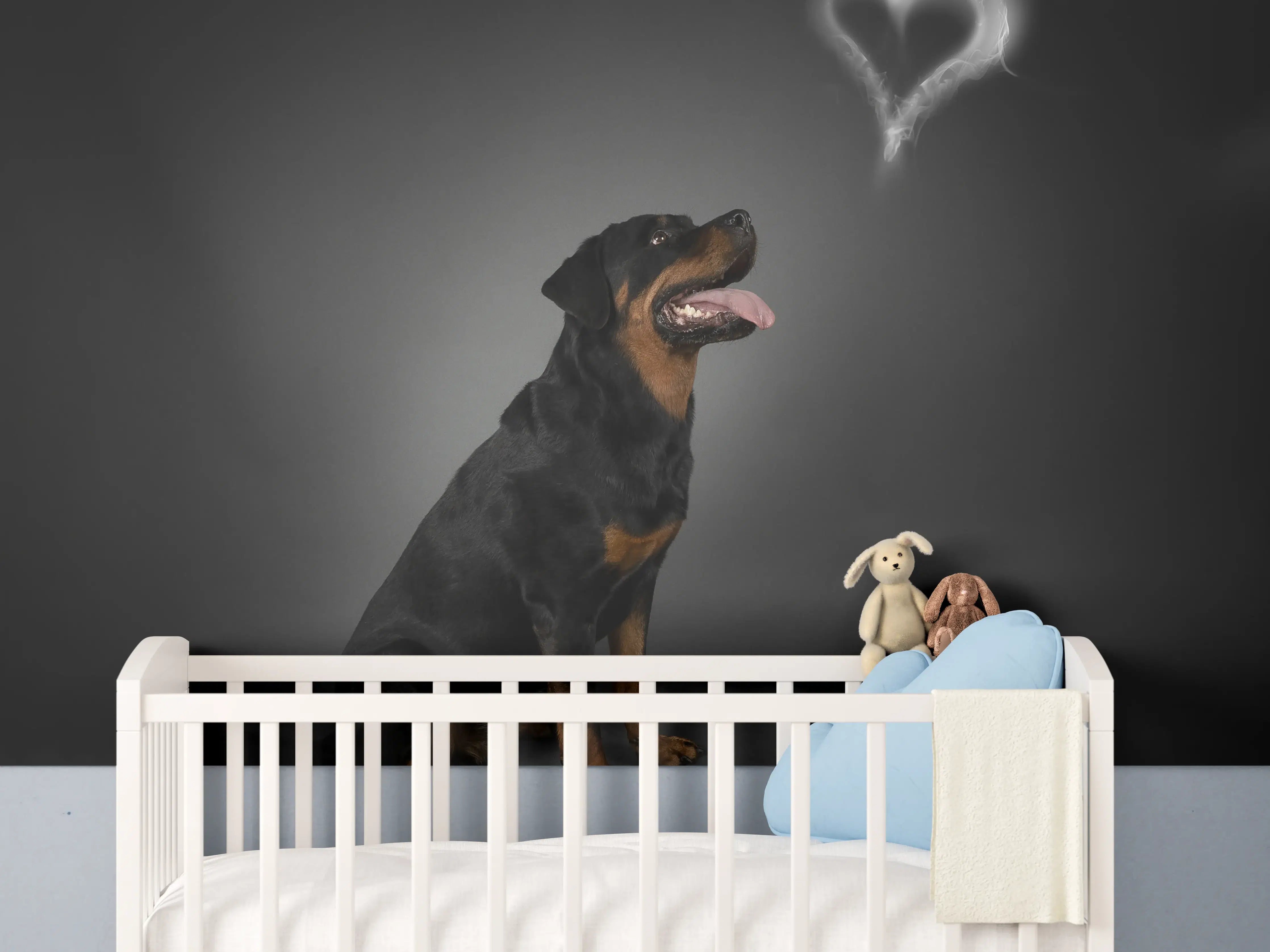 Babyzimmer Wandgestaltung - Rottweiler sitzend mit Blick auf Herz