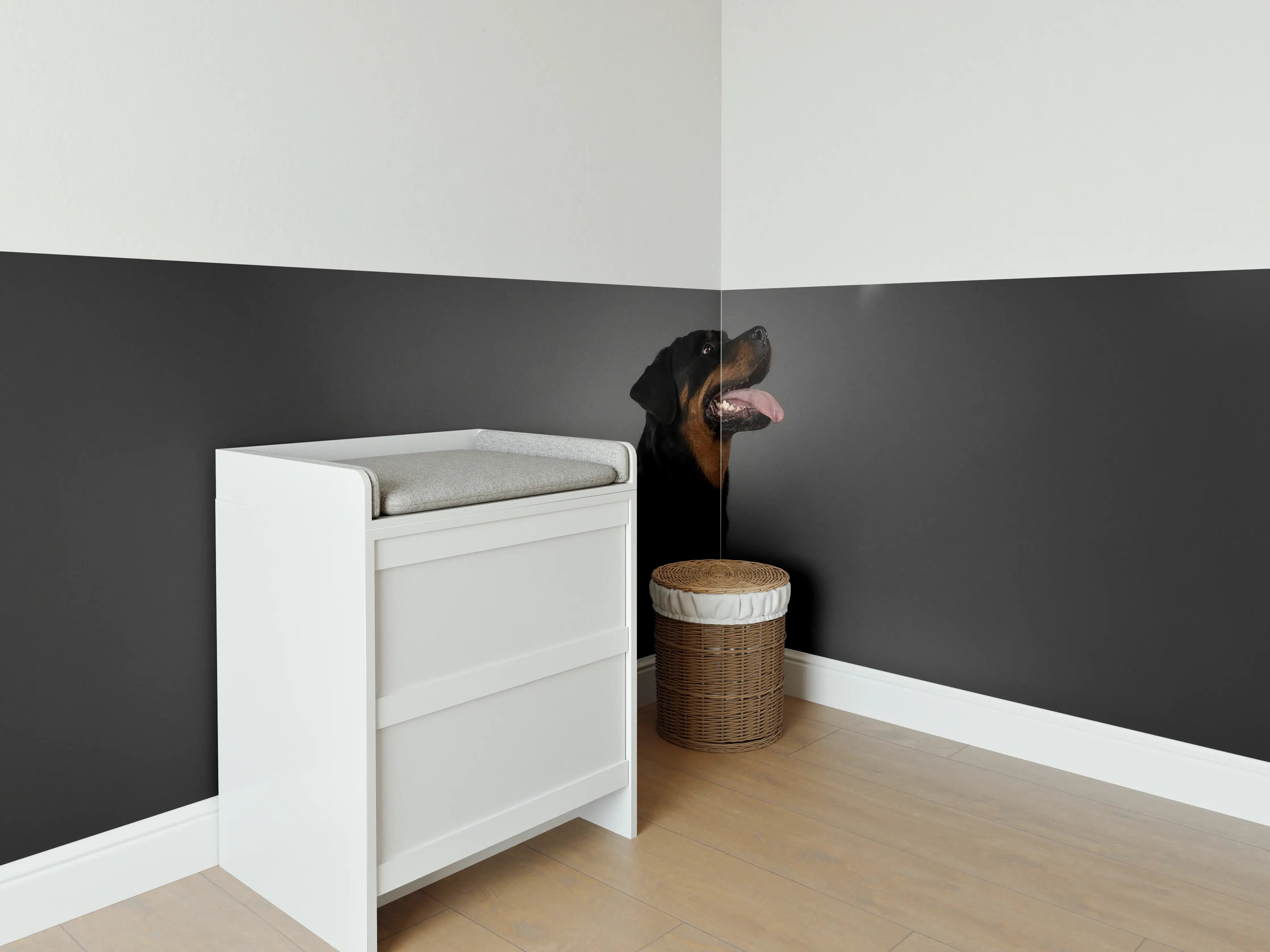 Babyzimmer Wandgestaltung - Rottweiler sitzend mit Blick auf Herz