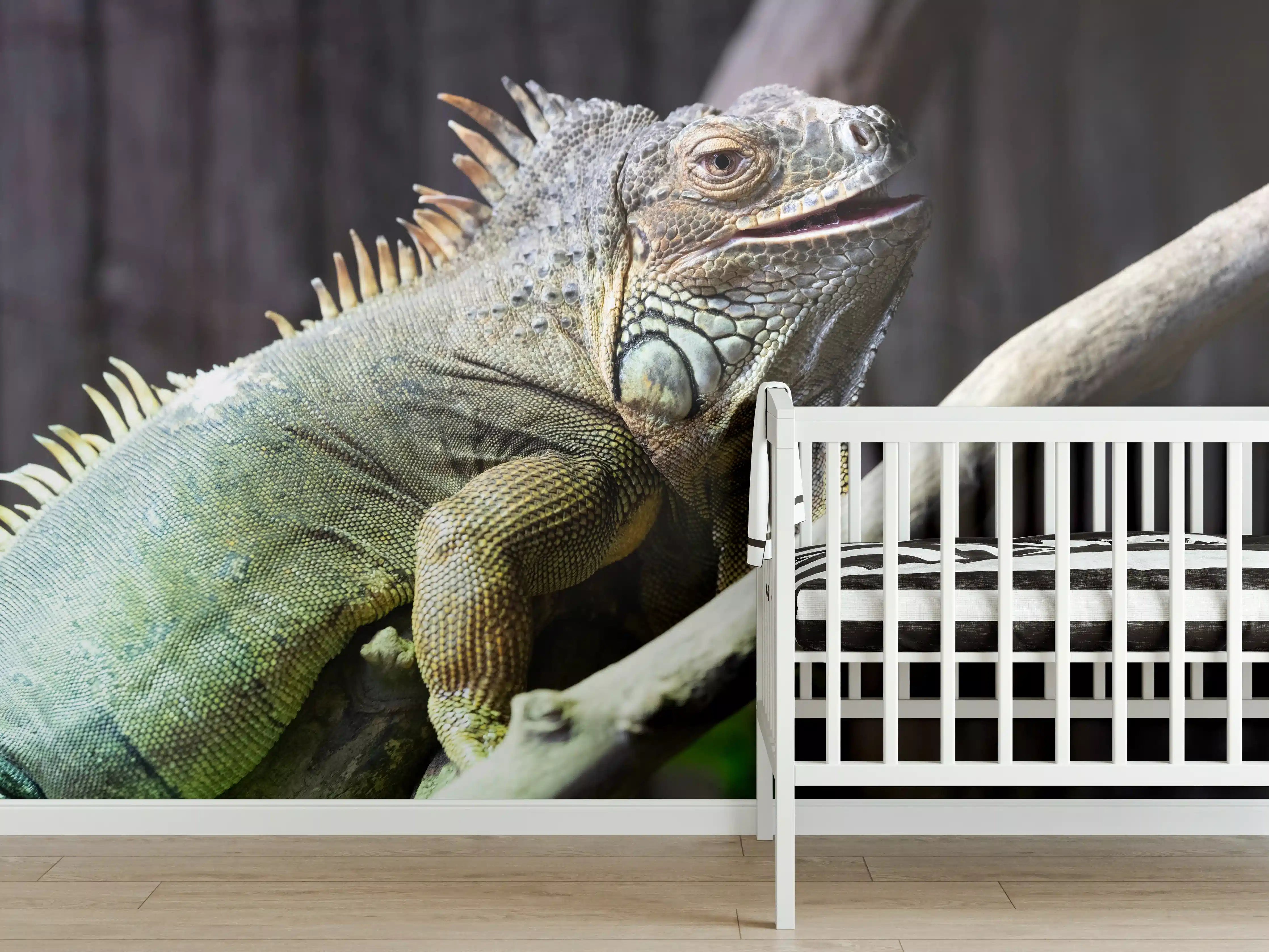 Babyzimmer Wandgestaltung - Ruhender Leguan