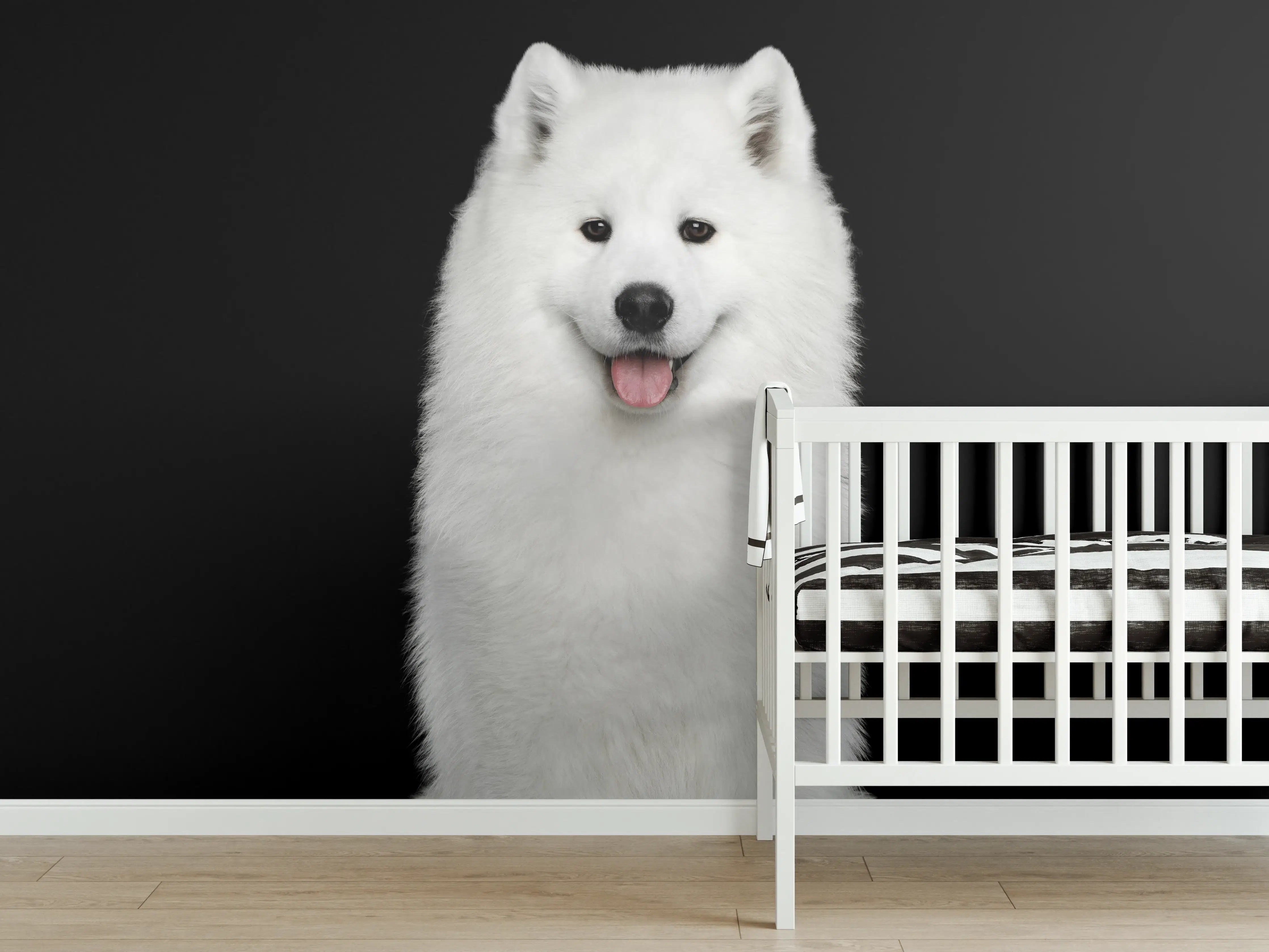 Babyzimmer Wandgestaltung - Samojeden Hund